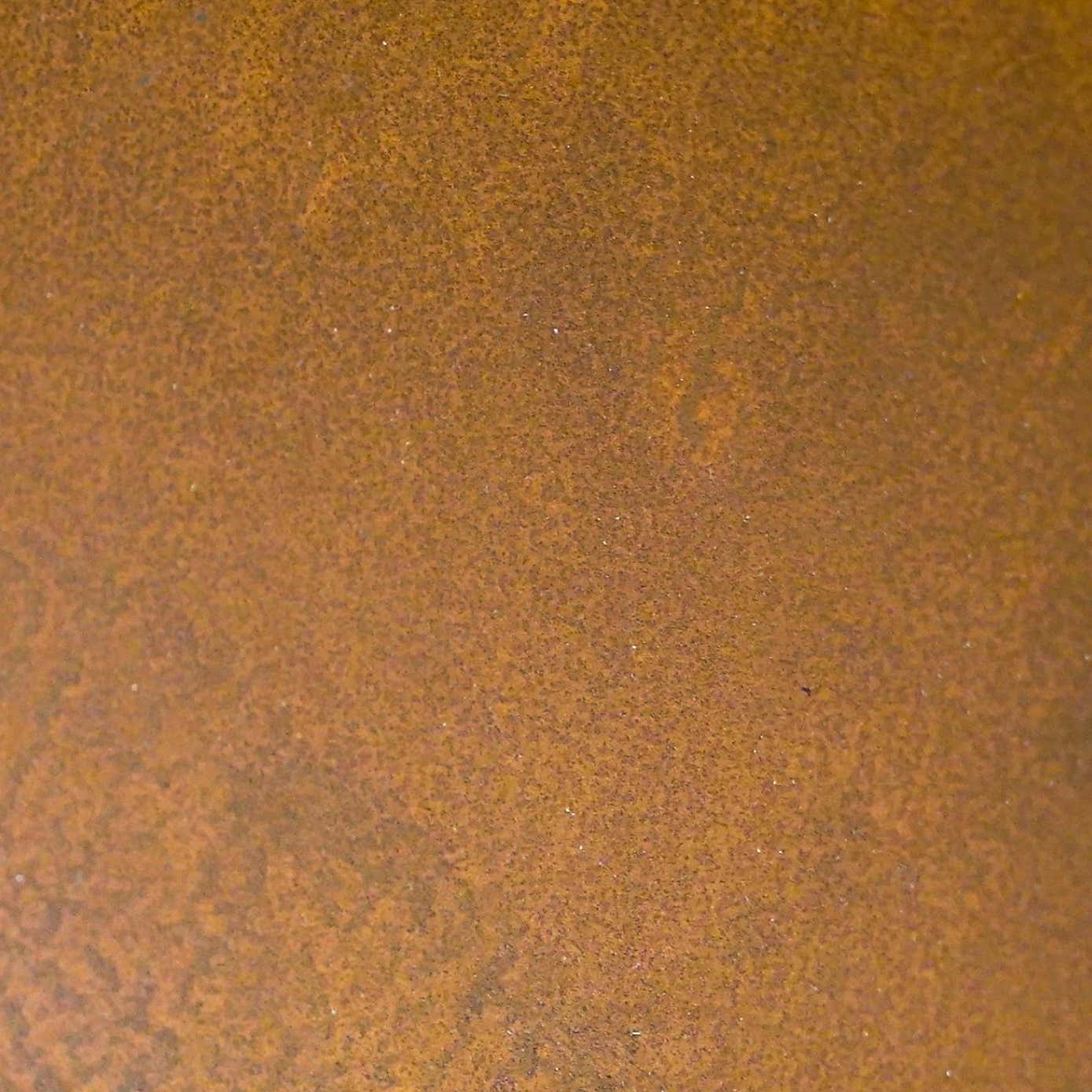 Ivyline Outdoor Tall Metal Dakota Fire Pit