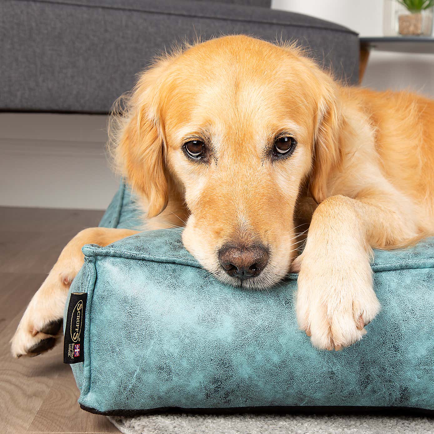 Scruffs Knightsbridge Mattress Pet Bed