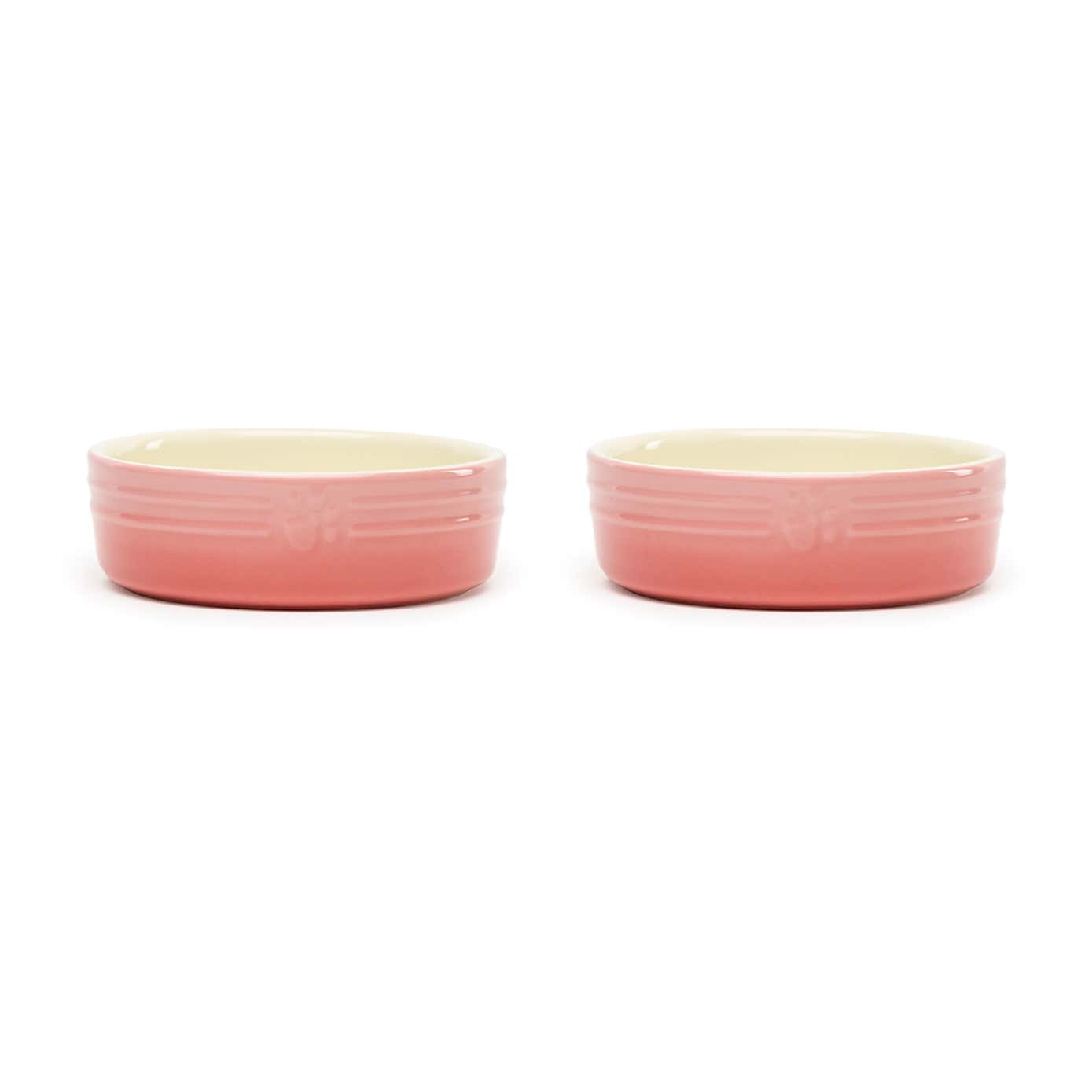 Set of 2 Scruffs Ombre Bowls