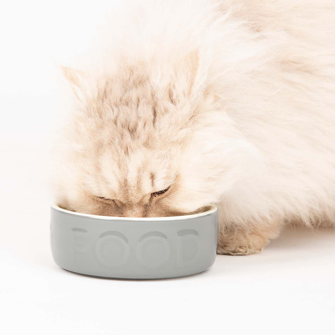 Scruffs Set of 2 Small Grey Food and Drink Pet Bowls