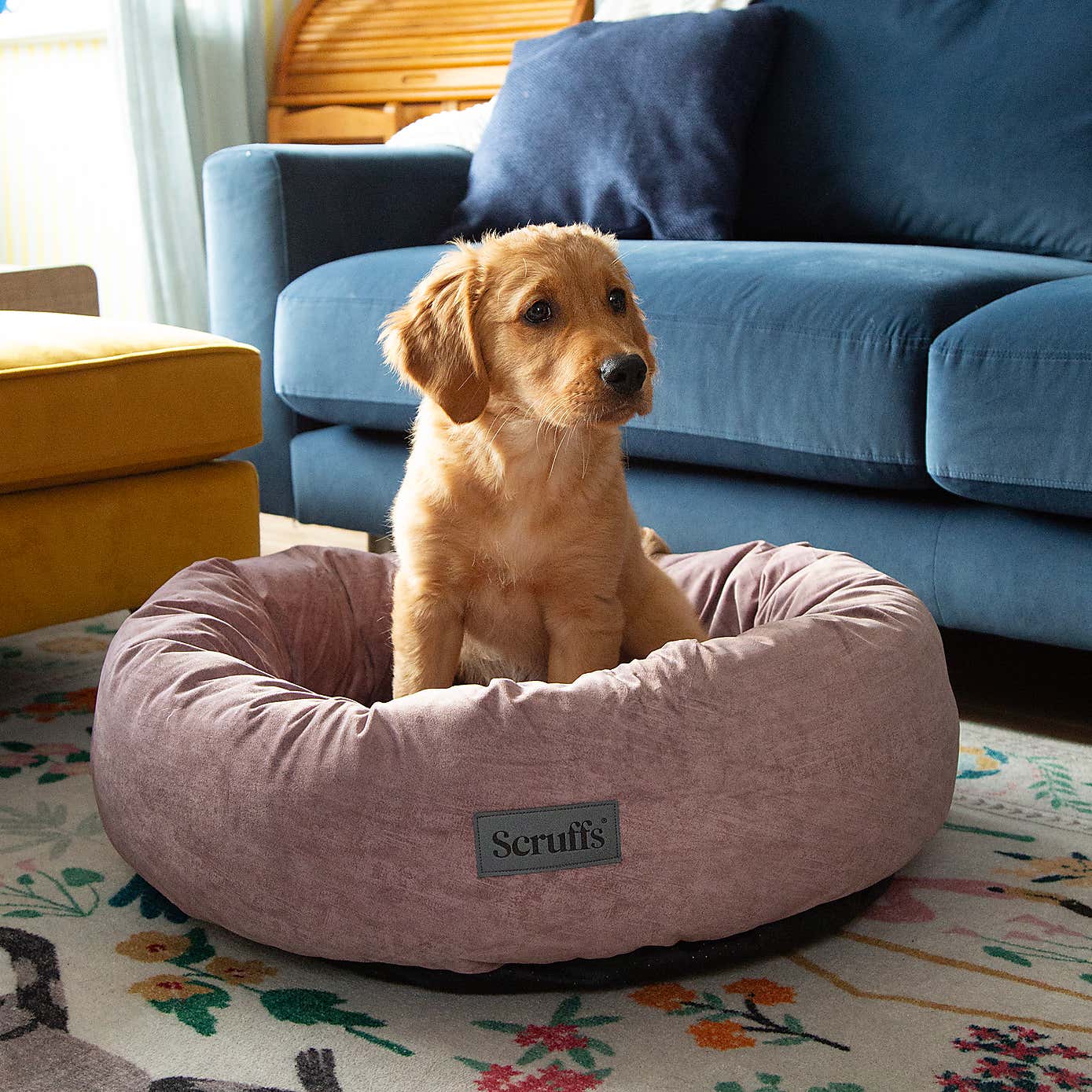 Scruff Oslo Donut Dog Bed