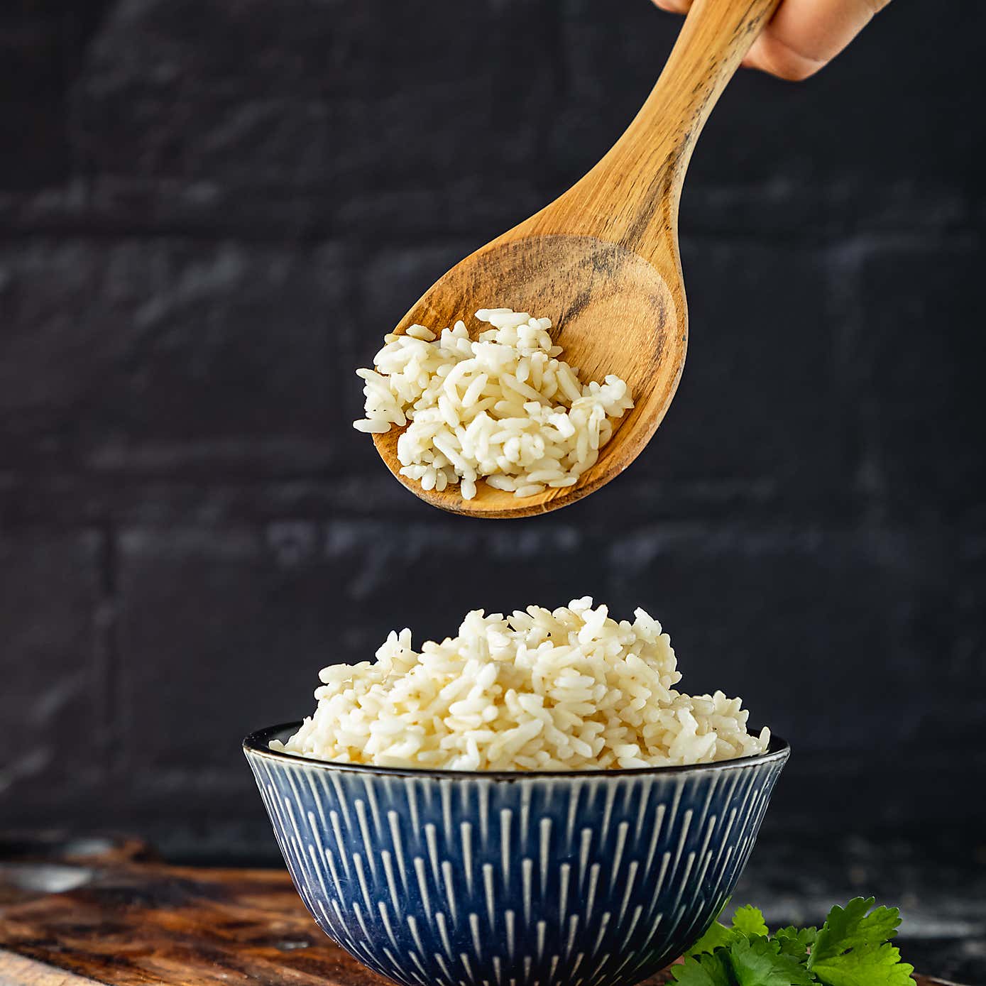 World Gourmet Rice Paddle