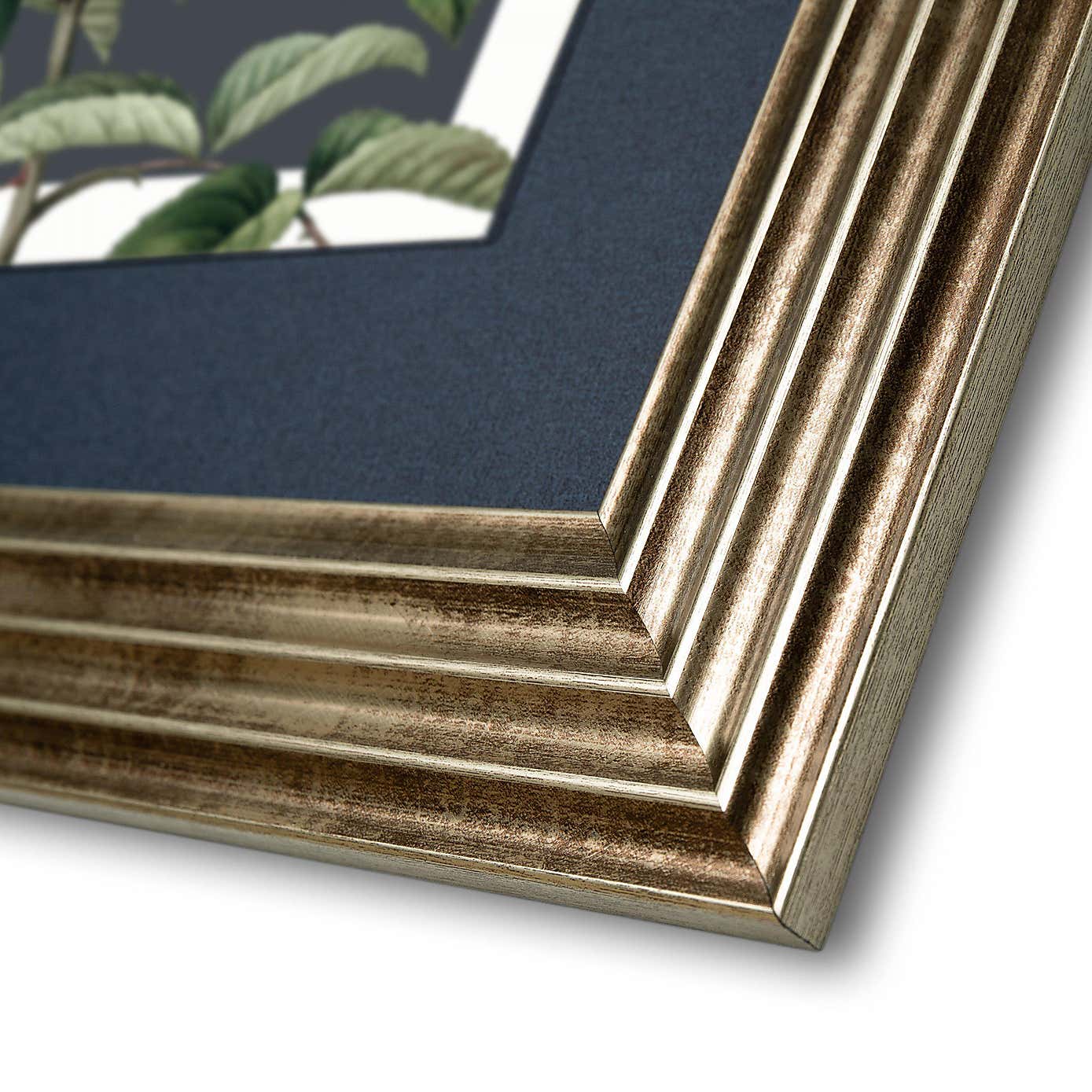 Cedar & Sage Rosa Moschata Framed Canvas