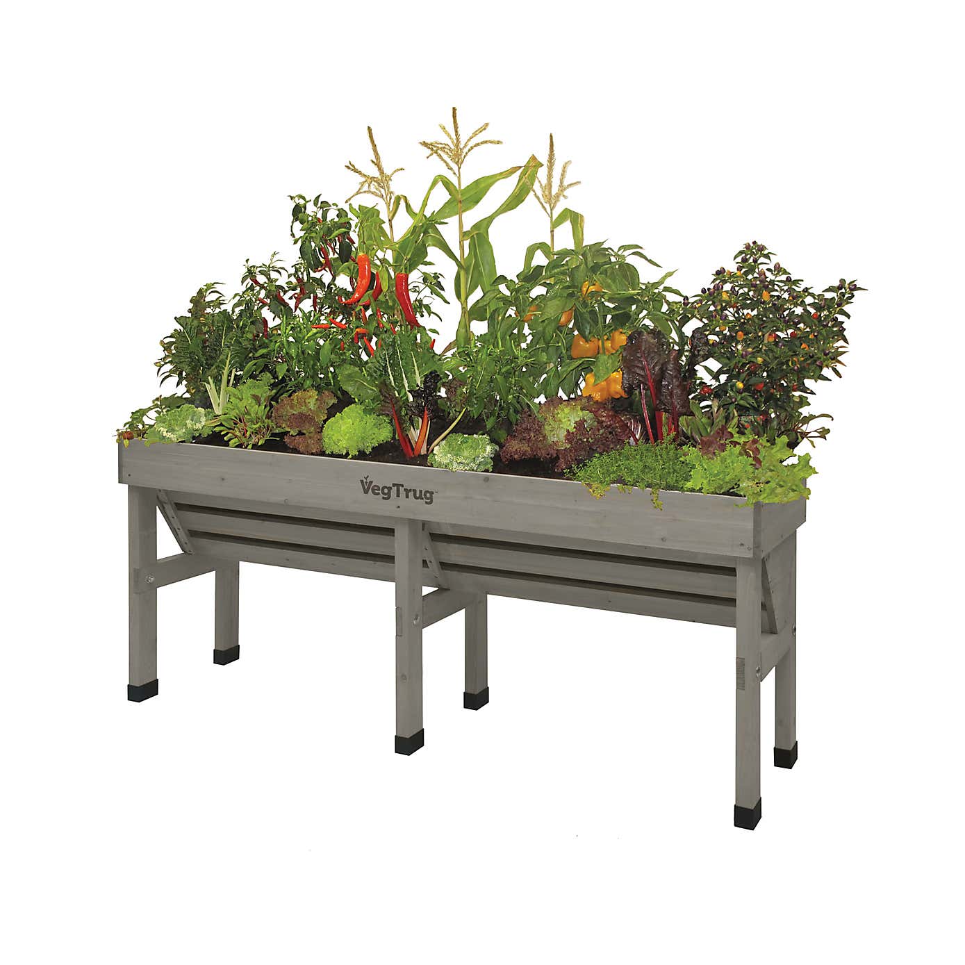 VegTrug Medium Wall Hugger