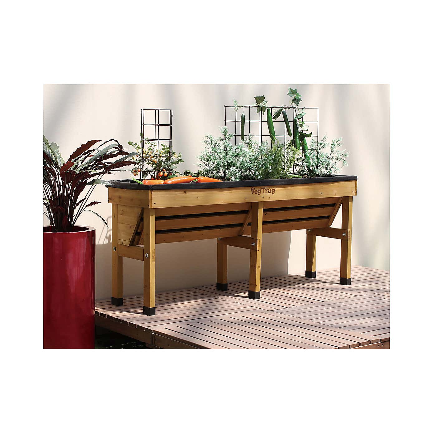 VegTrug Medium Wall Hugger