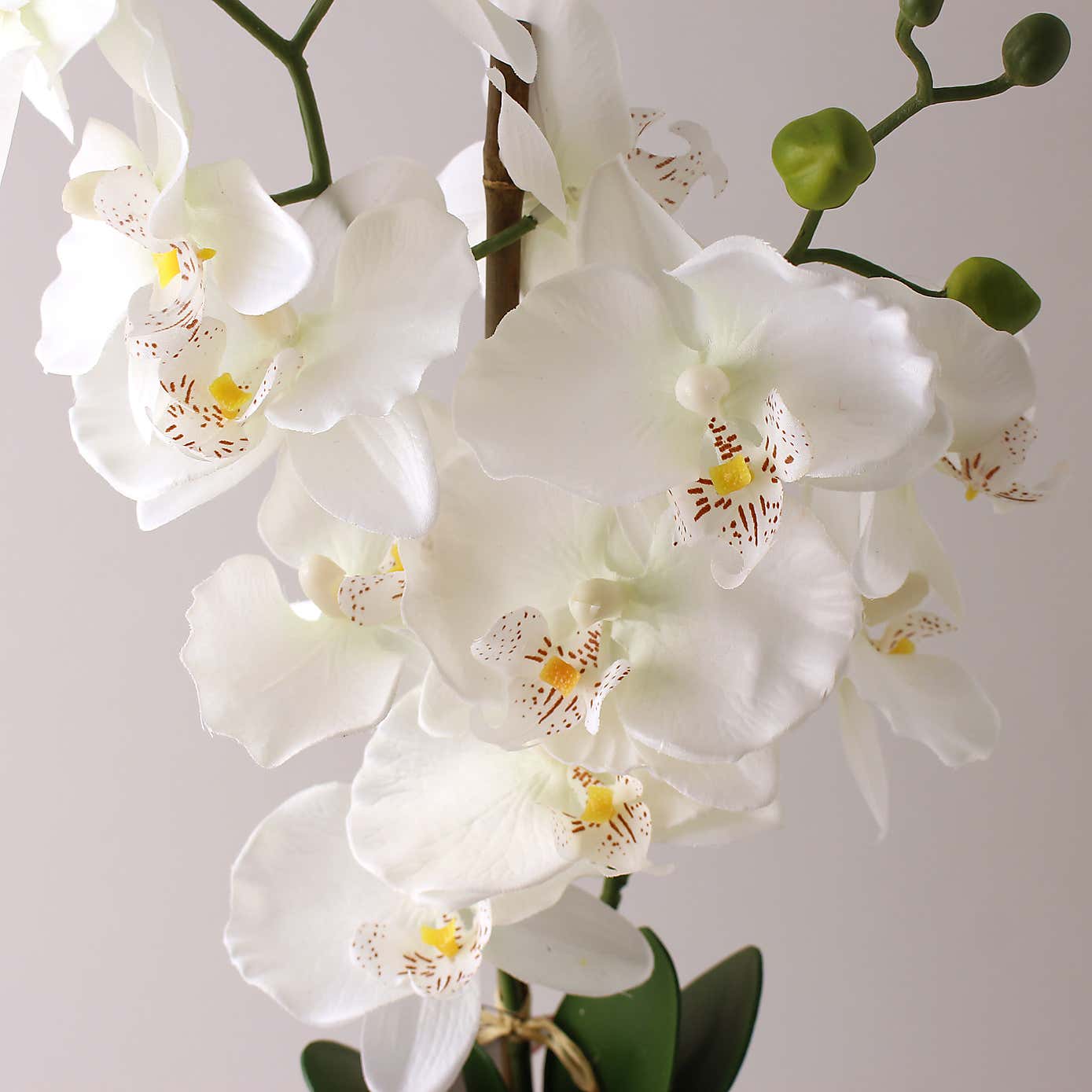 Artificial Cream Orchid in Marble Plant Pot