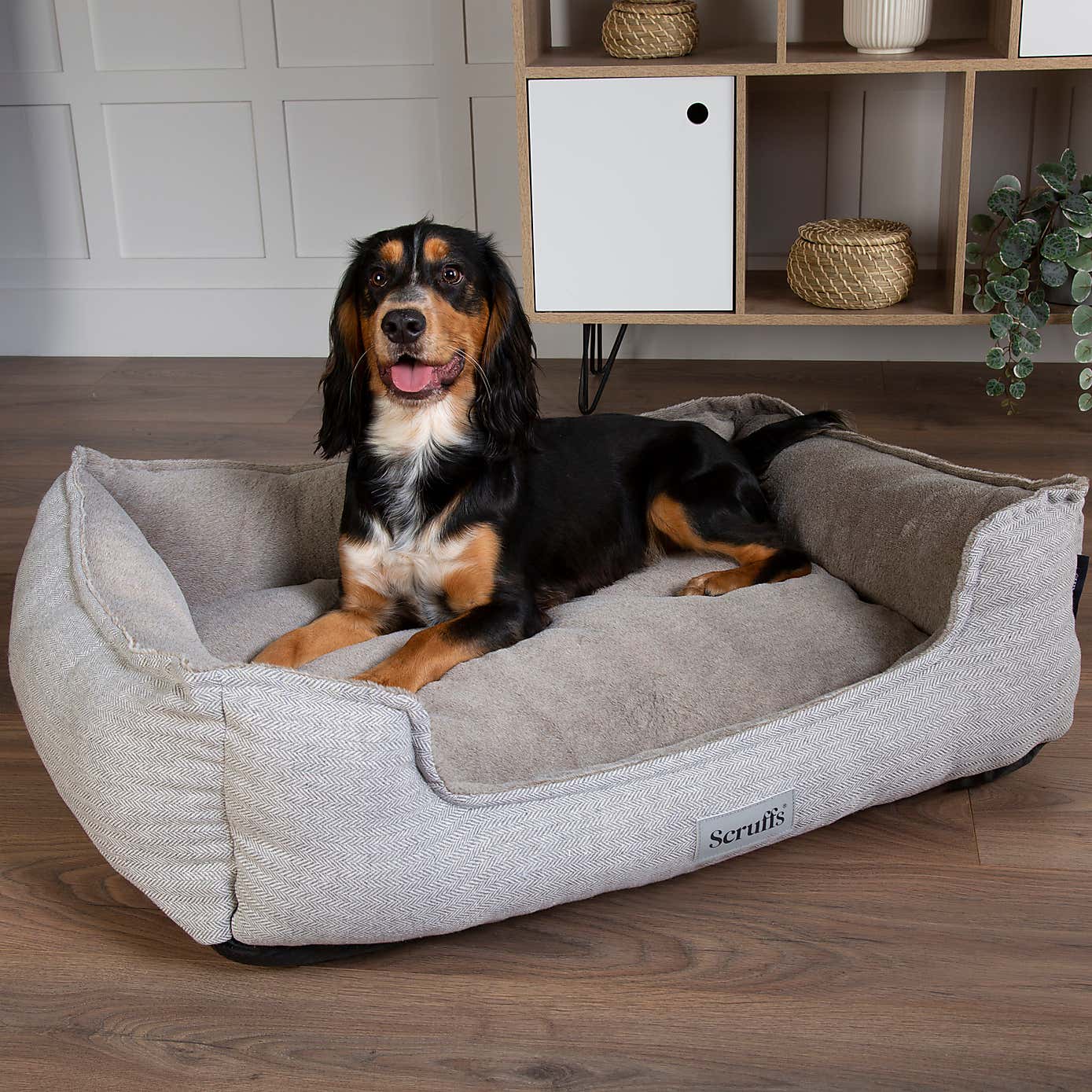 Scruffs Harvard Memory Foam Orthopaedic Box Bed