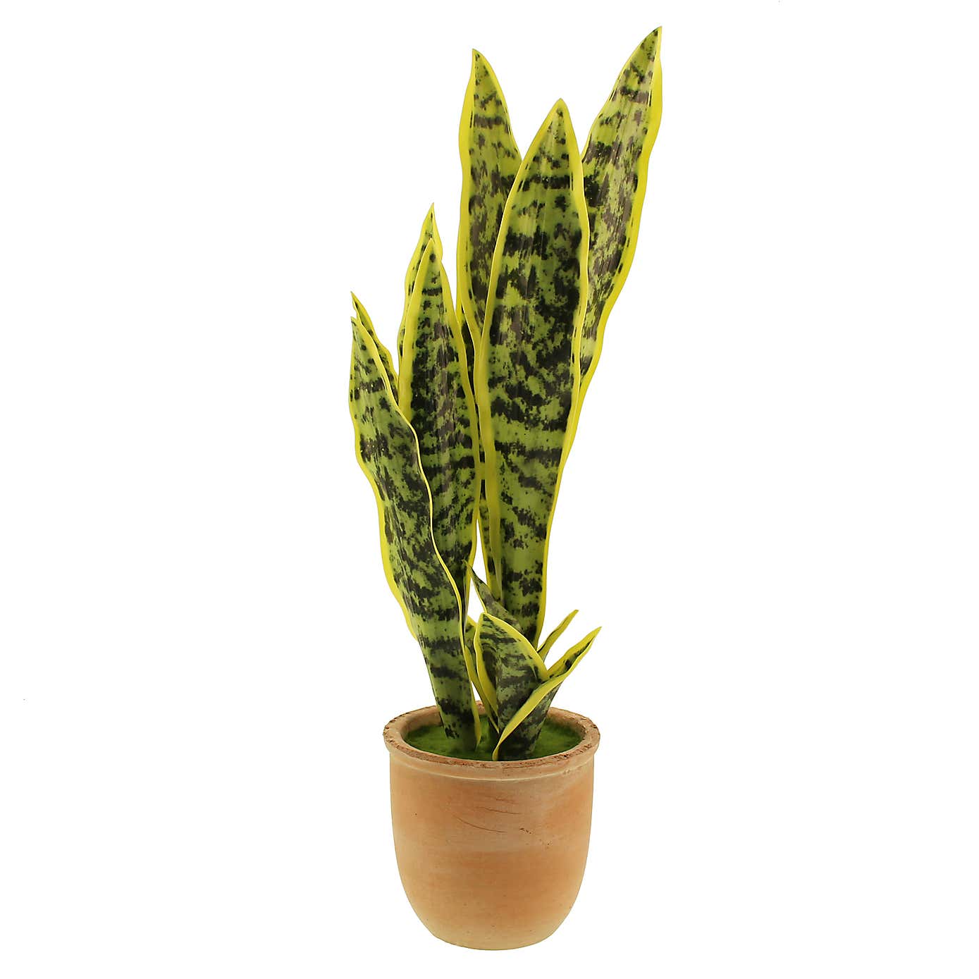 Artificial Sansevieria in Terracotta Plant Pot