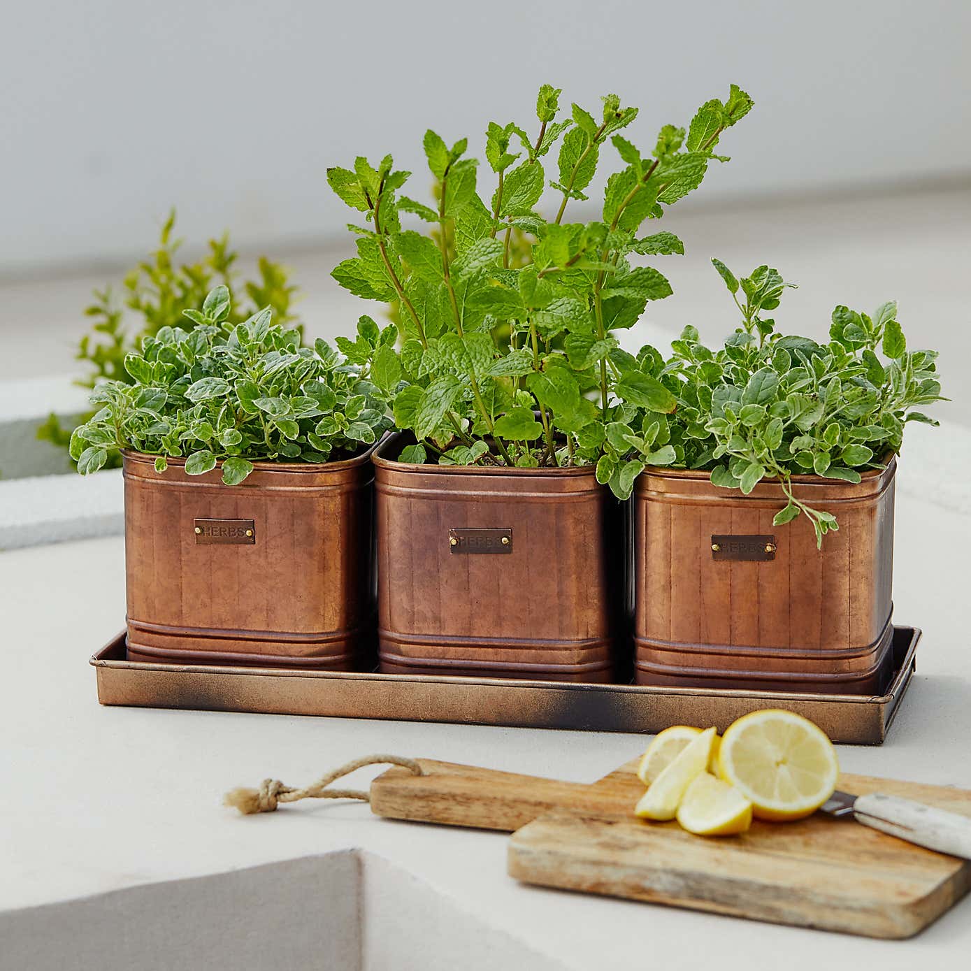 Set of 3 Herb Hampton Outdoor Planters with Tray