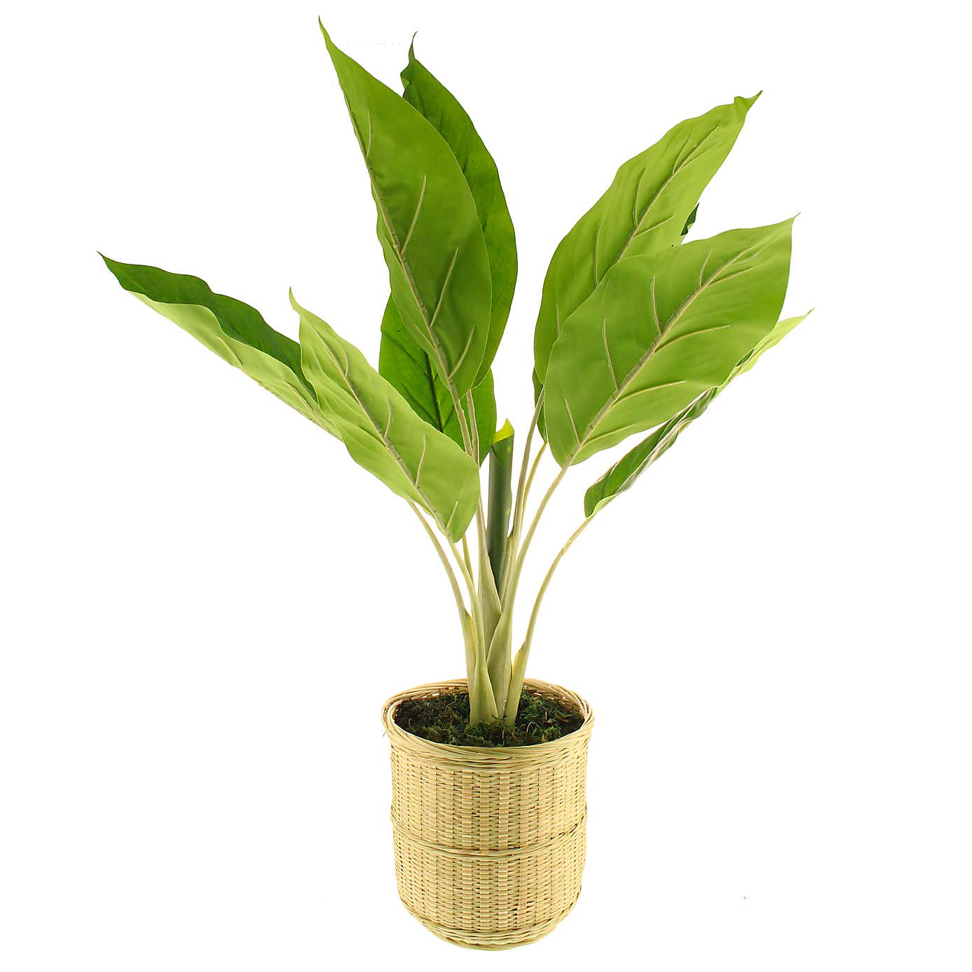 Artificial Banana Plant in Bamboo Plant Pot
