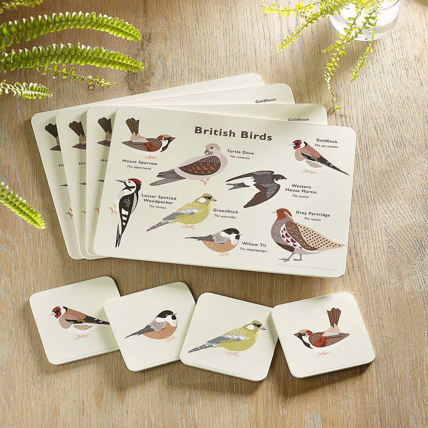 Set of 4 Birds Coasters