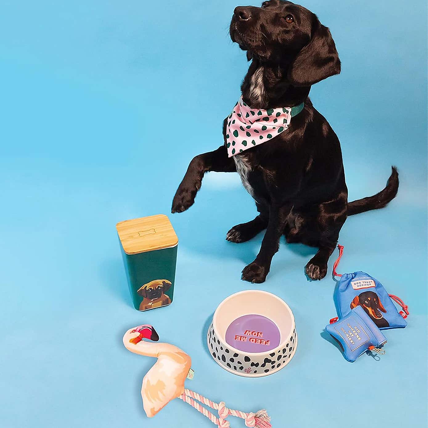 Emily Brooks Flamingo Pet Toy