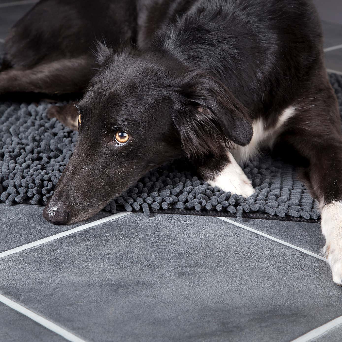 Scruffs Noodle Dog Drying Mat
