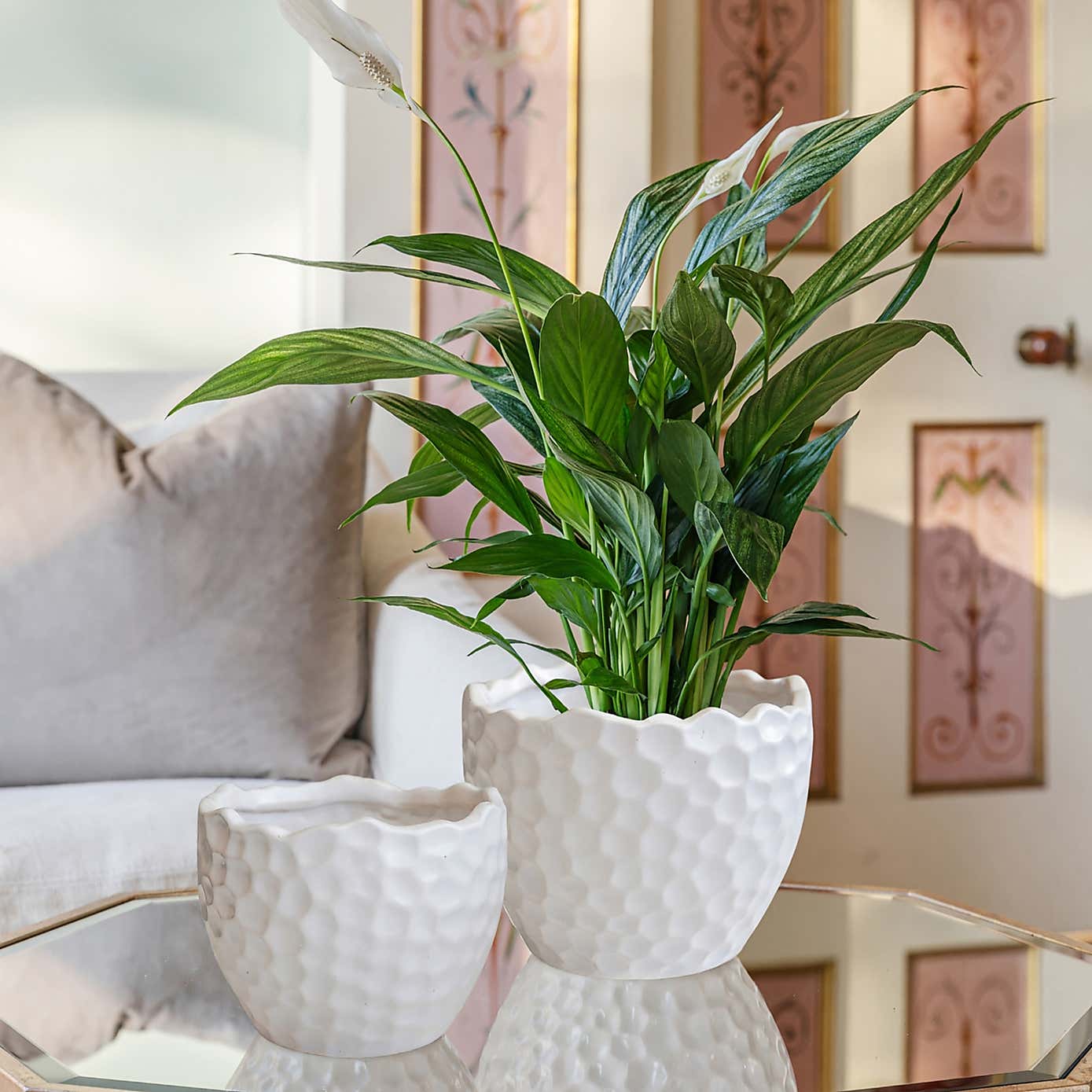 Kew Botanical White Textured Planter