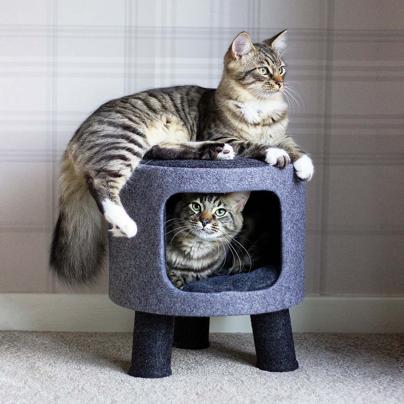 Rosewood Felt Charcoal Cat Stool