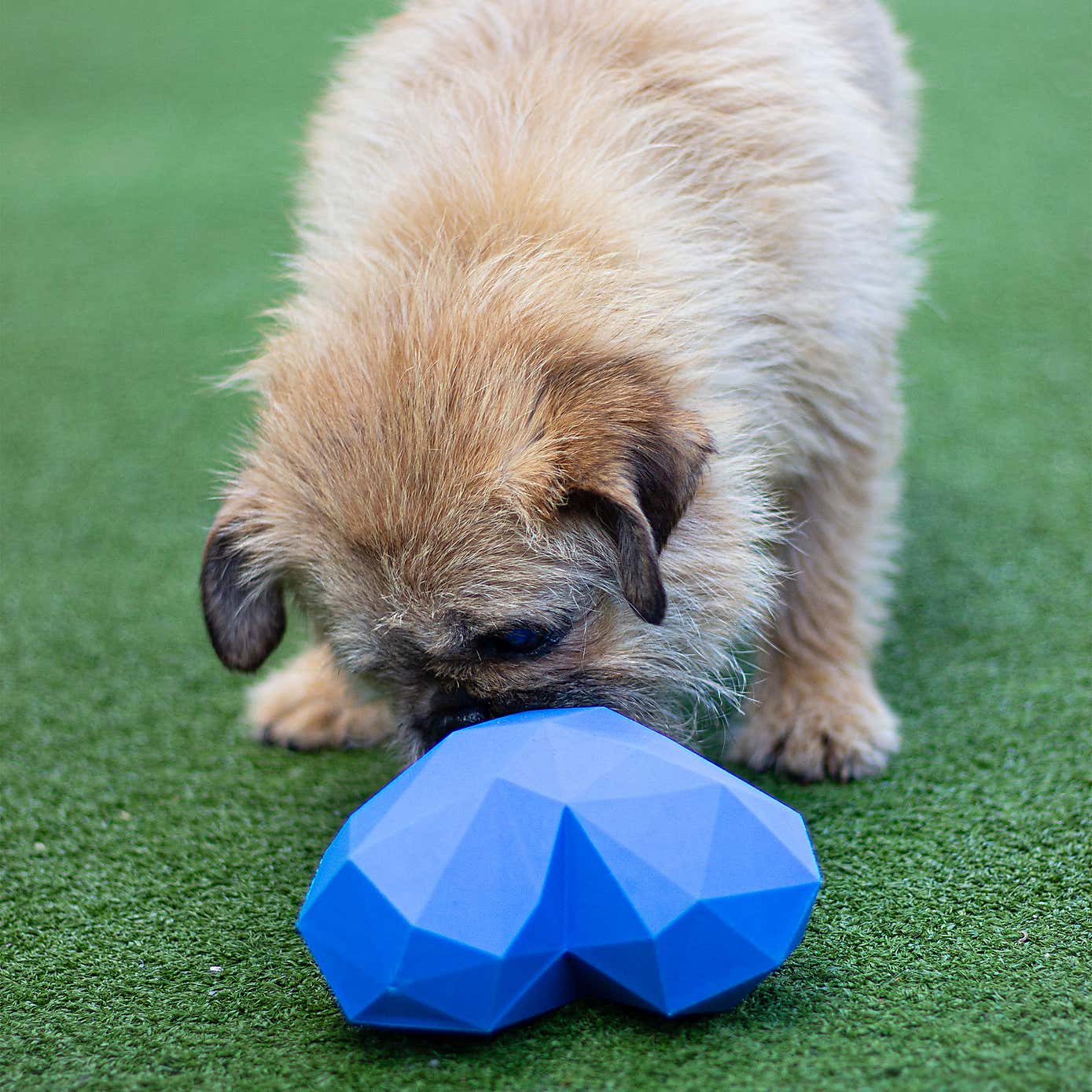 Battersea Rubber Heart Treat Toy