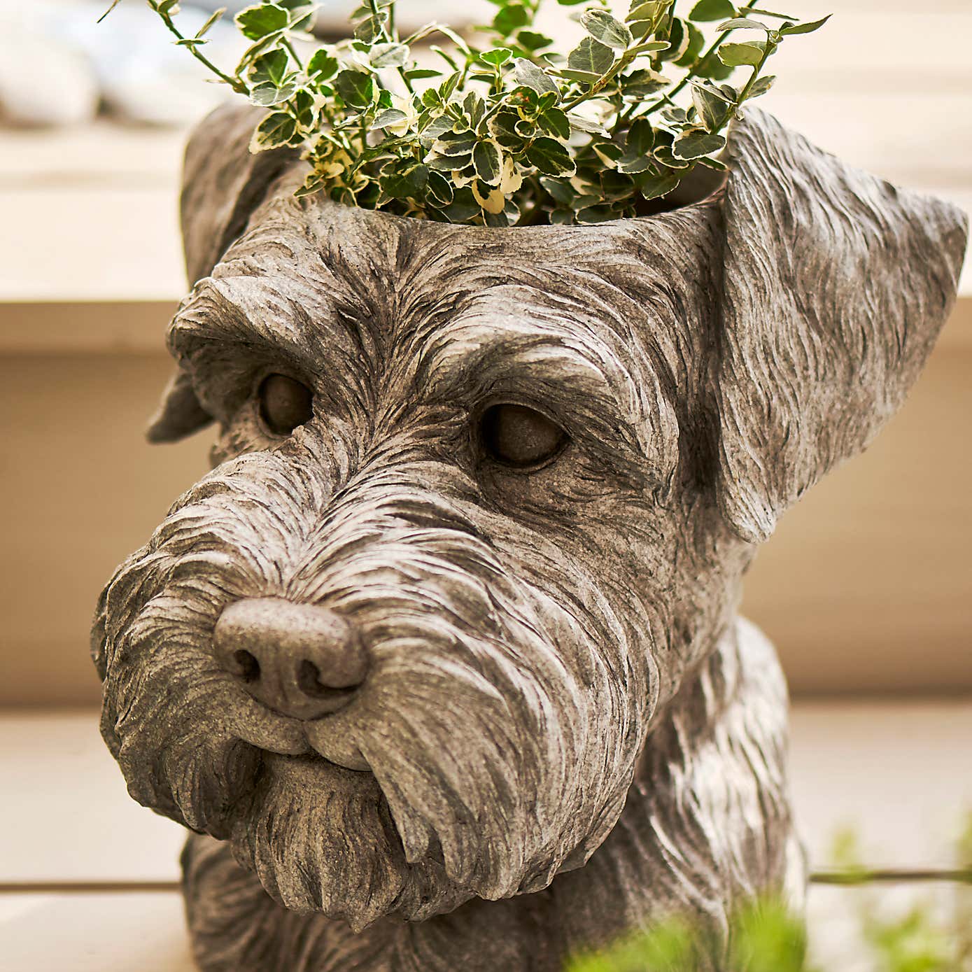Schnauzer Head Planter