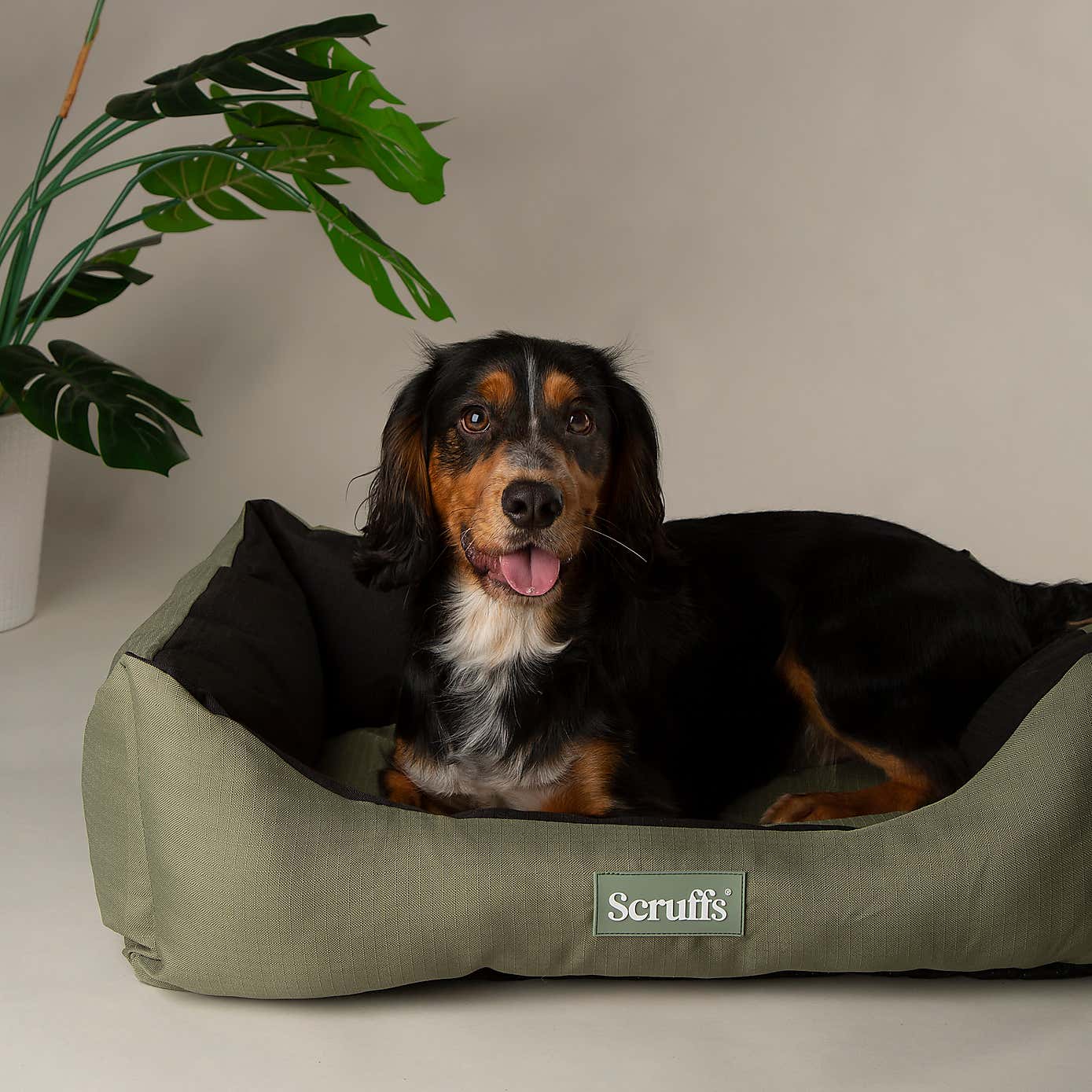 Scruffs Expedition Box Bed