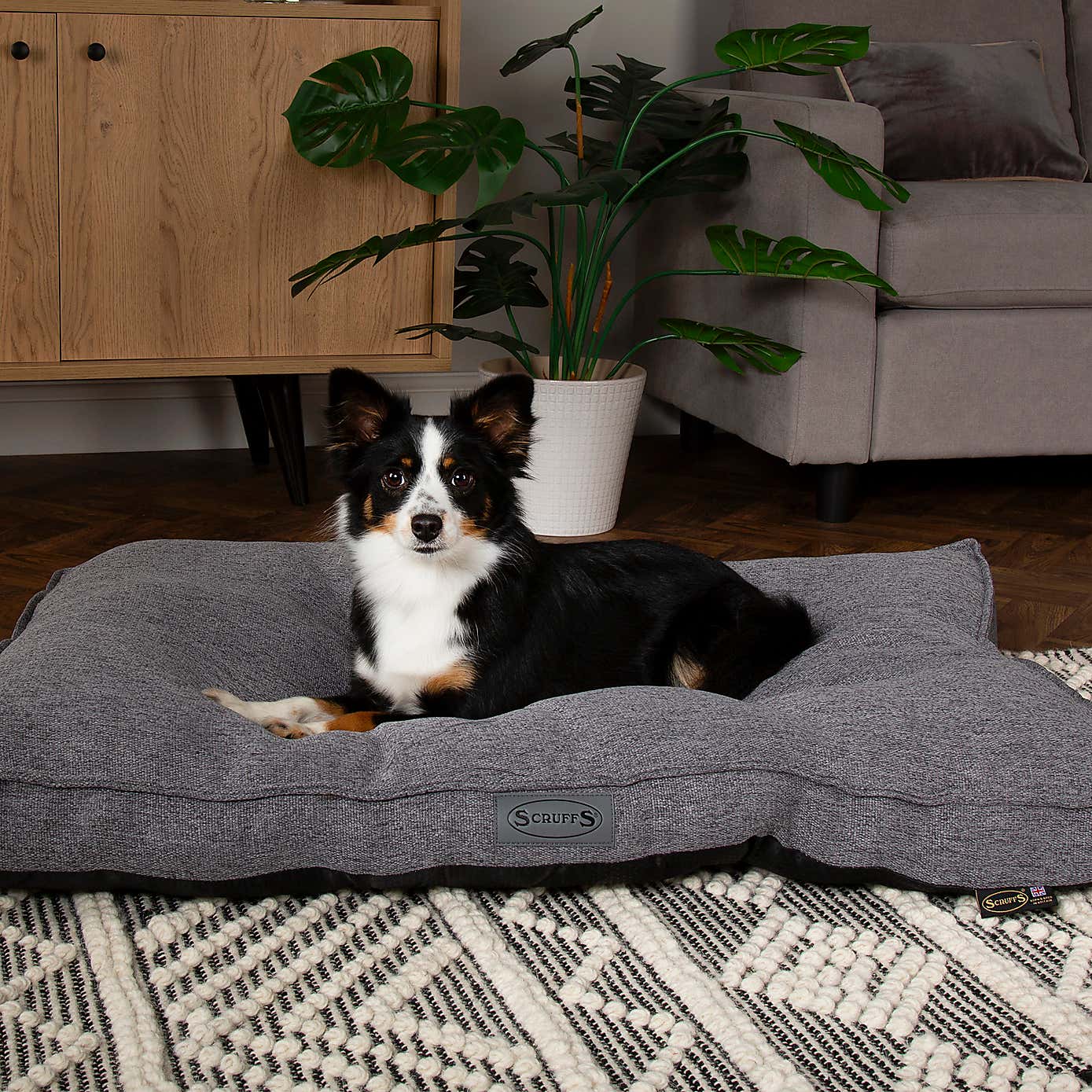 Scruffs Manhattan Mattress Pet Bed