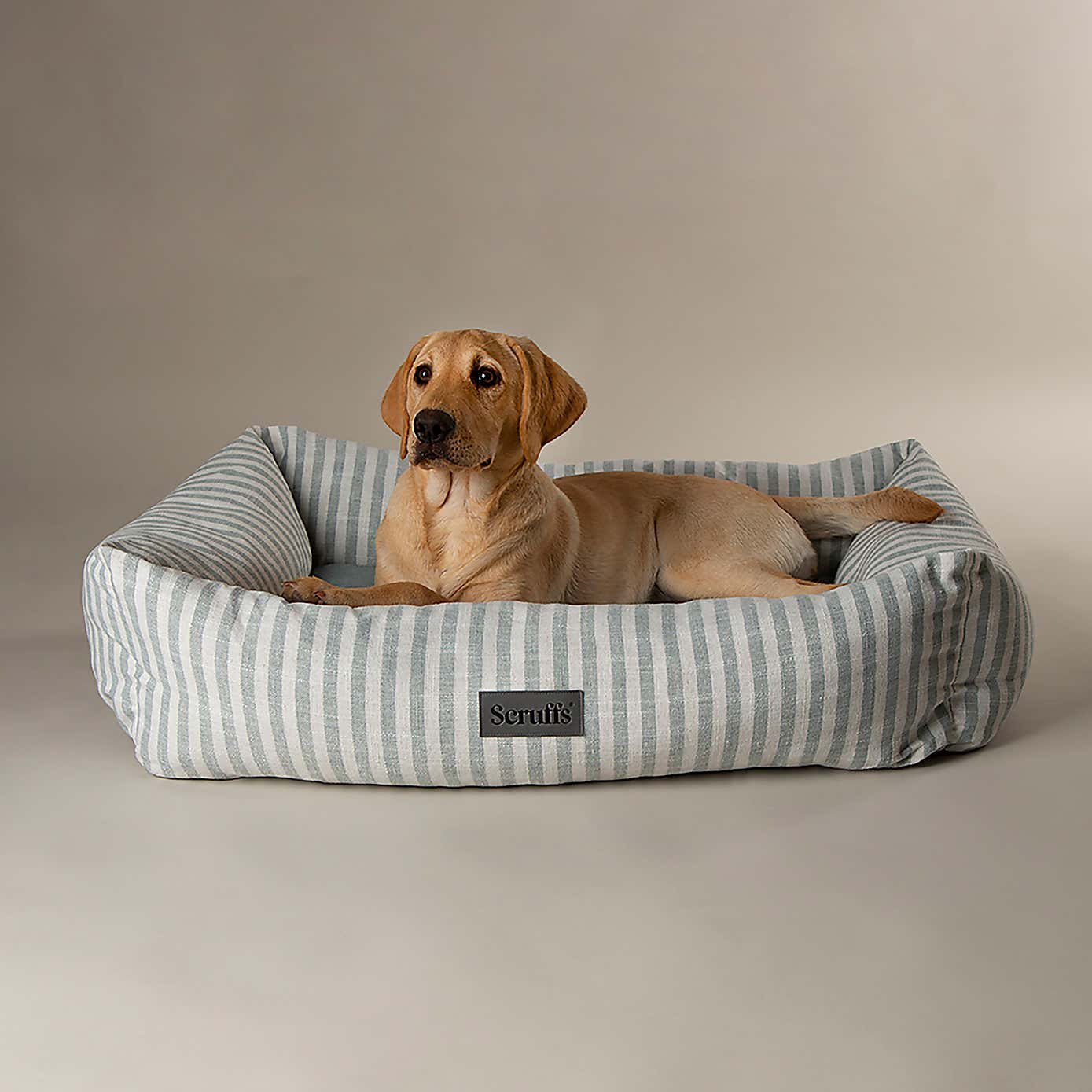 Scruffs Luxury Coast Dog Box Bed
