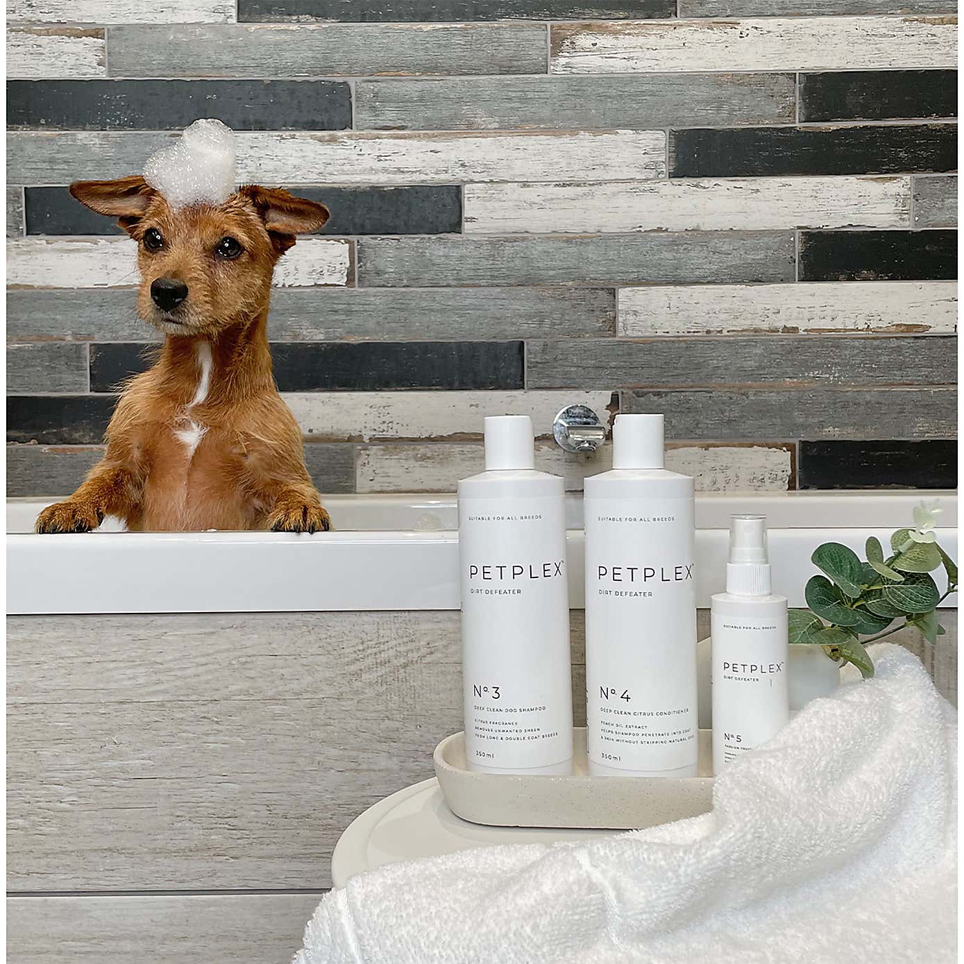 Lords and Labradors PetPlex Dirt Defeater