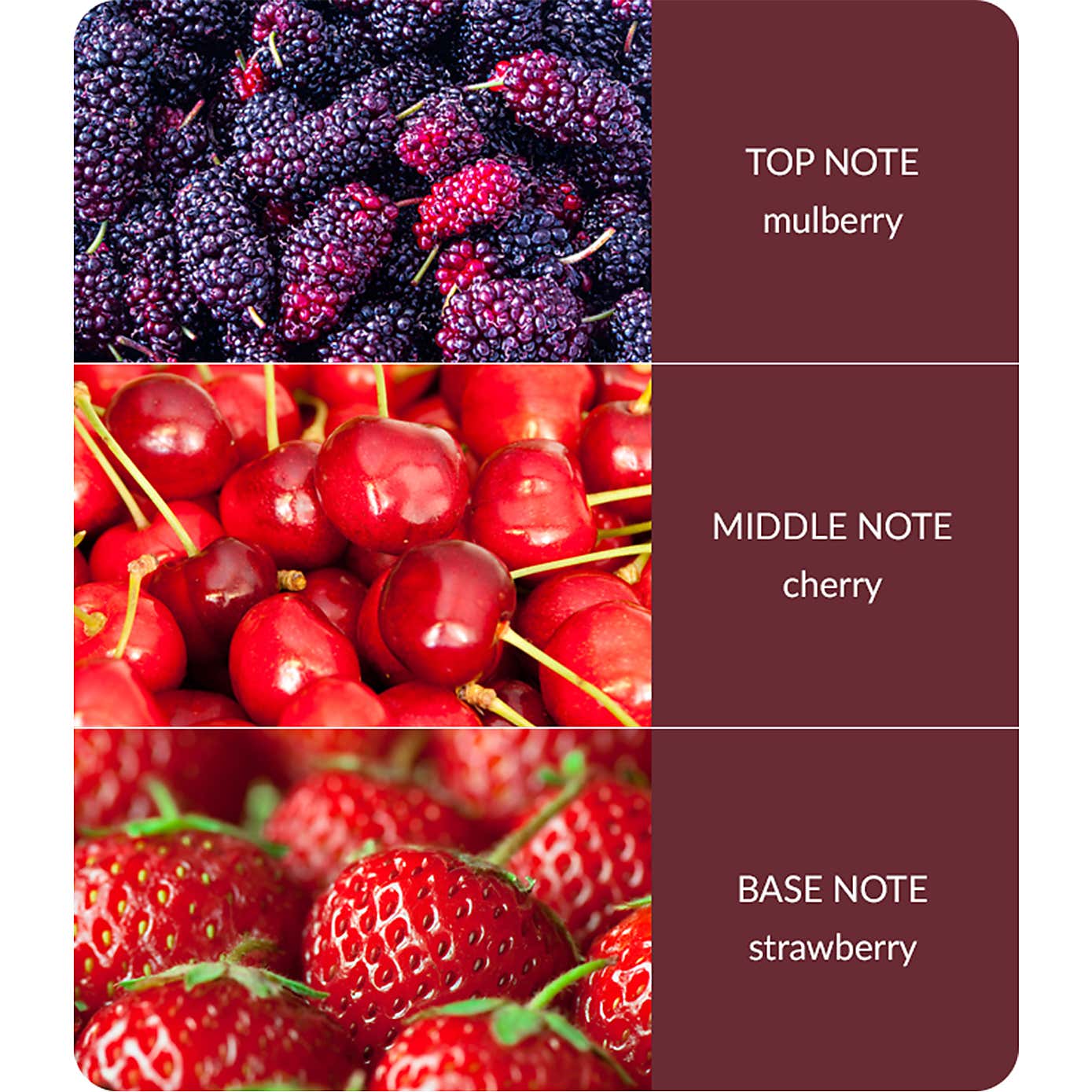 Heart and Home Ellipse Simply Mulberry Multi Wick Candle