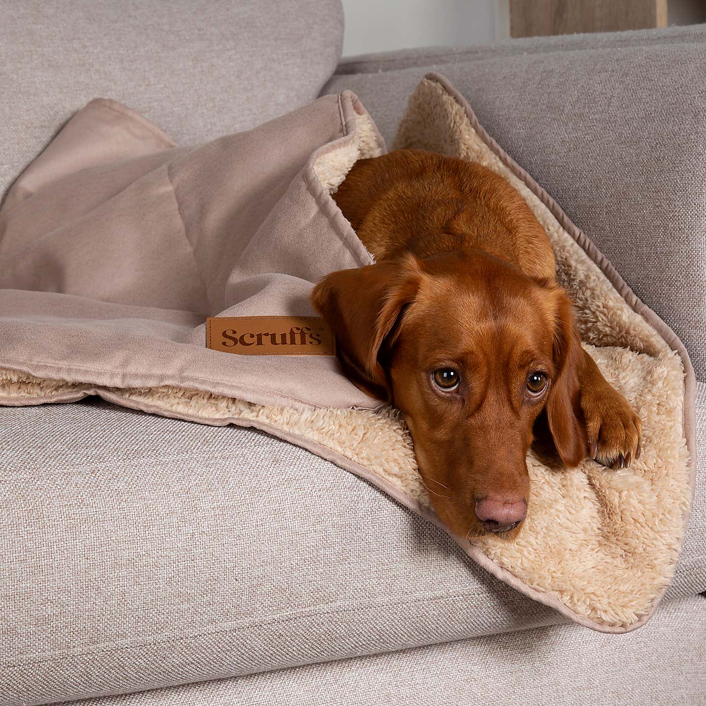 Scruffs Snuggle Blanket