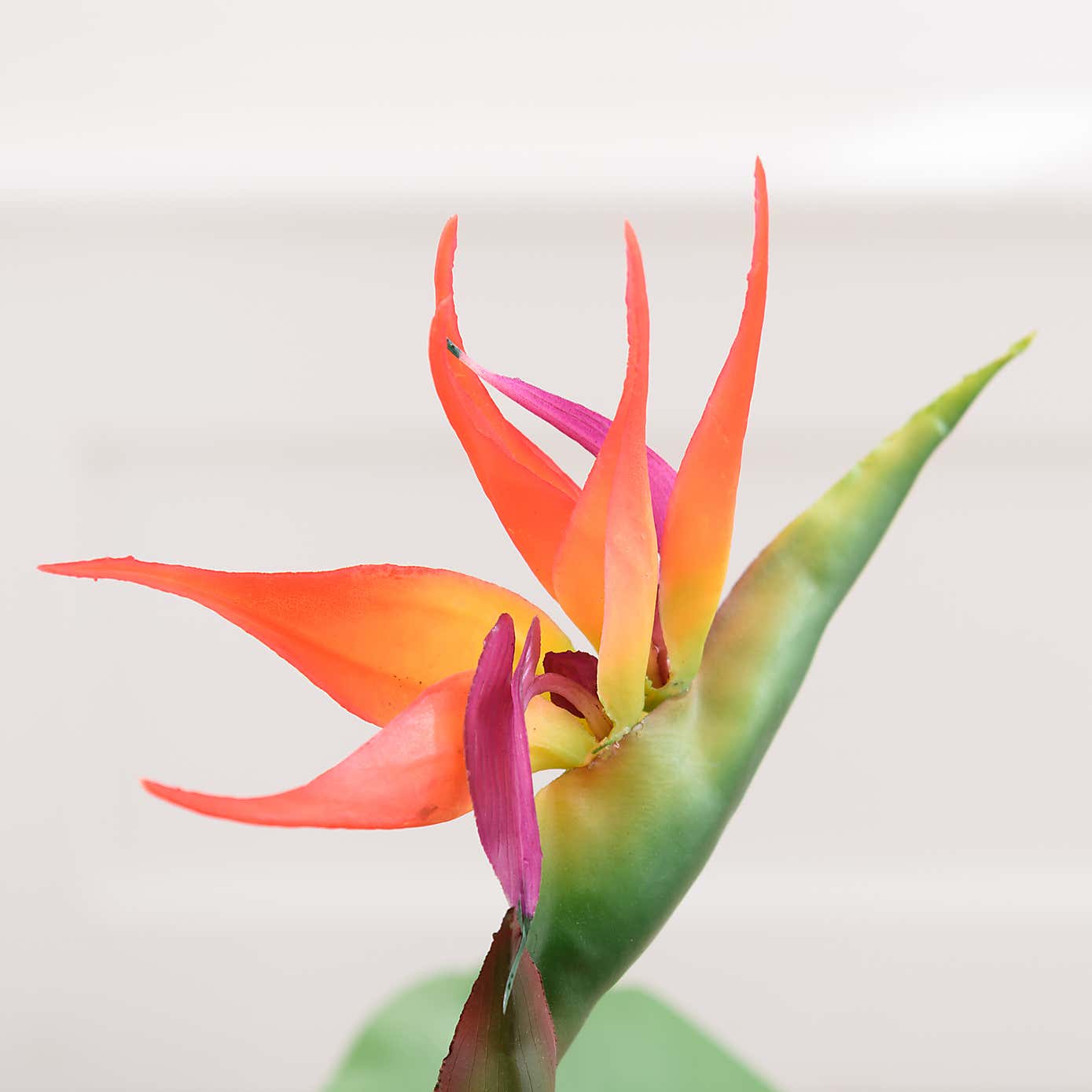 Artificial Bird of Paradise Tree in Black Plant Pot