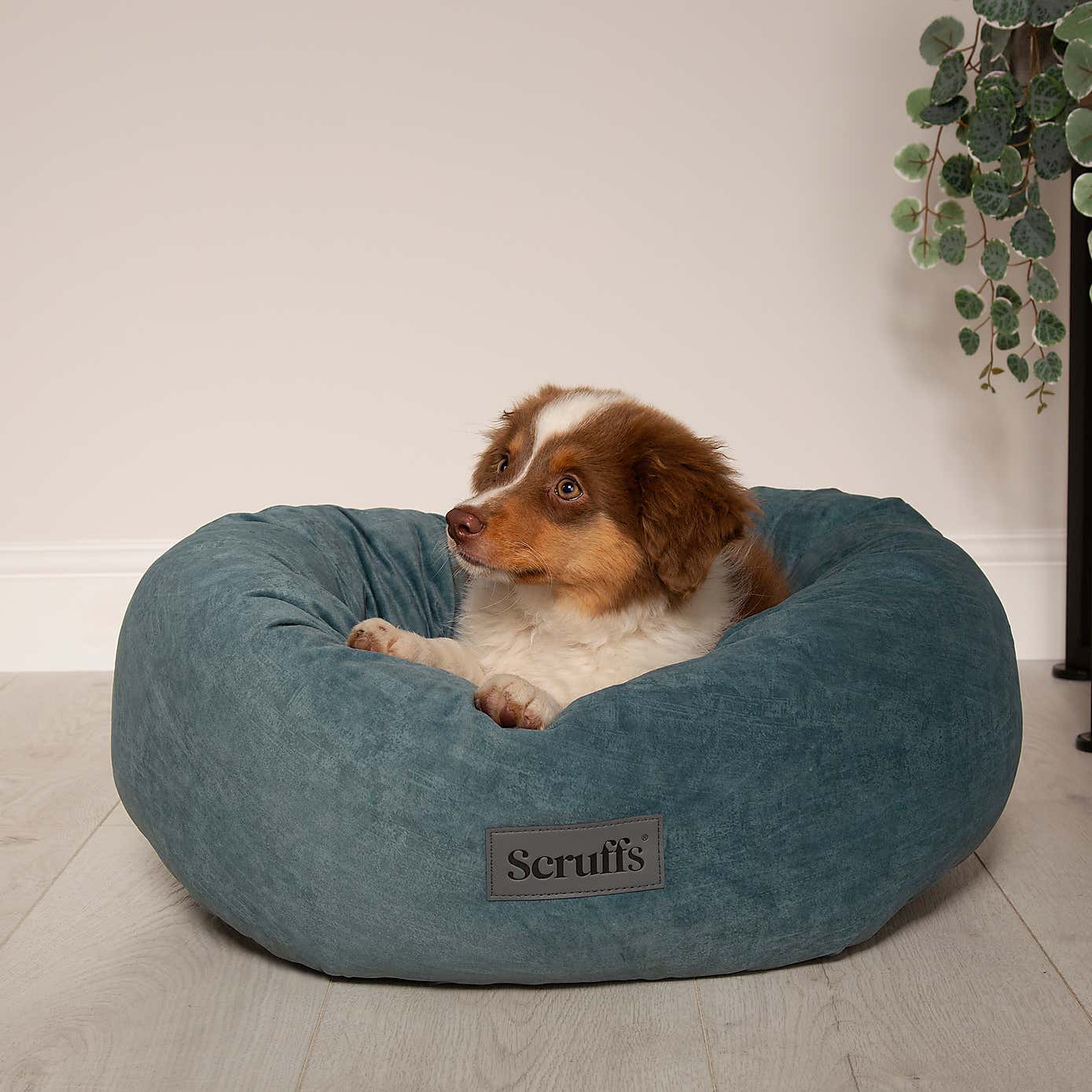 Scruff Oslo Donut Dog Bed
