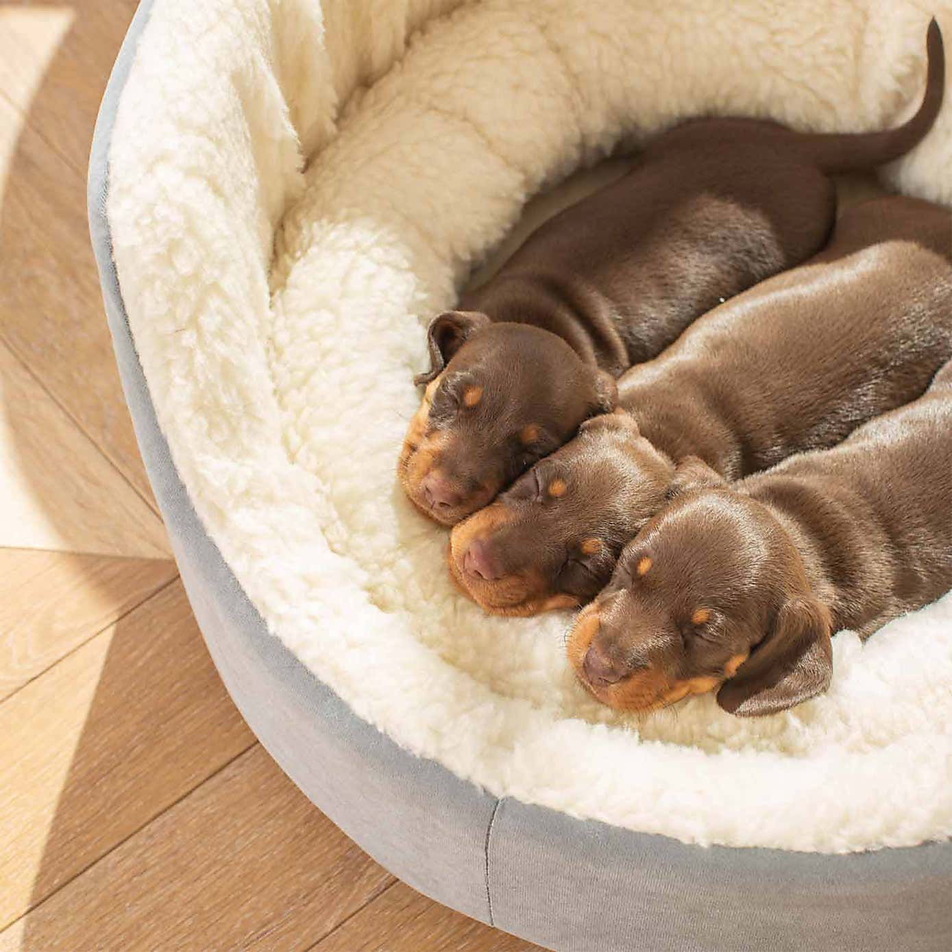 Lords and Labradors Grow With Me Puppy Bed