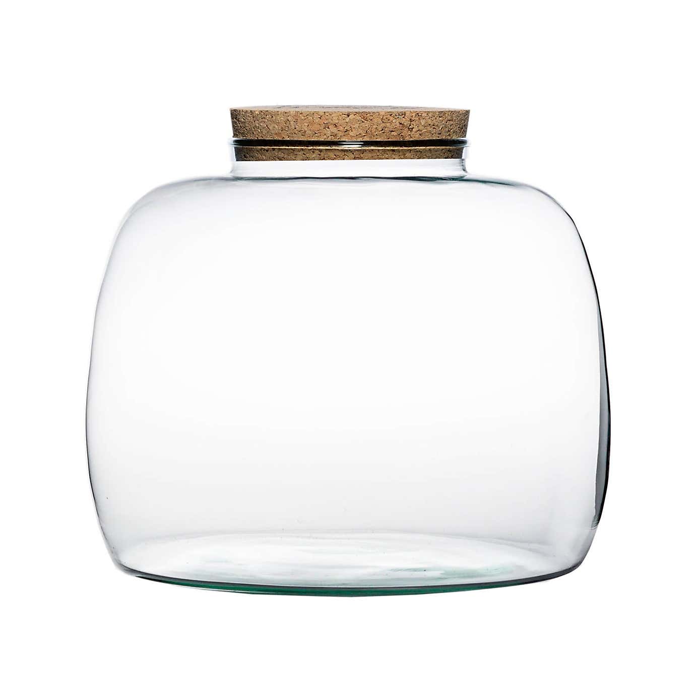 Bowl Shape Large Terrarium DIY Kit