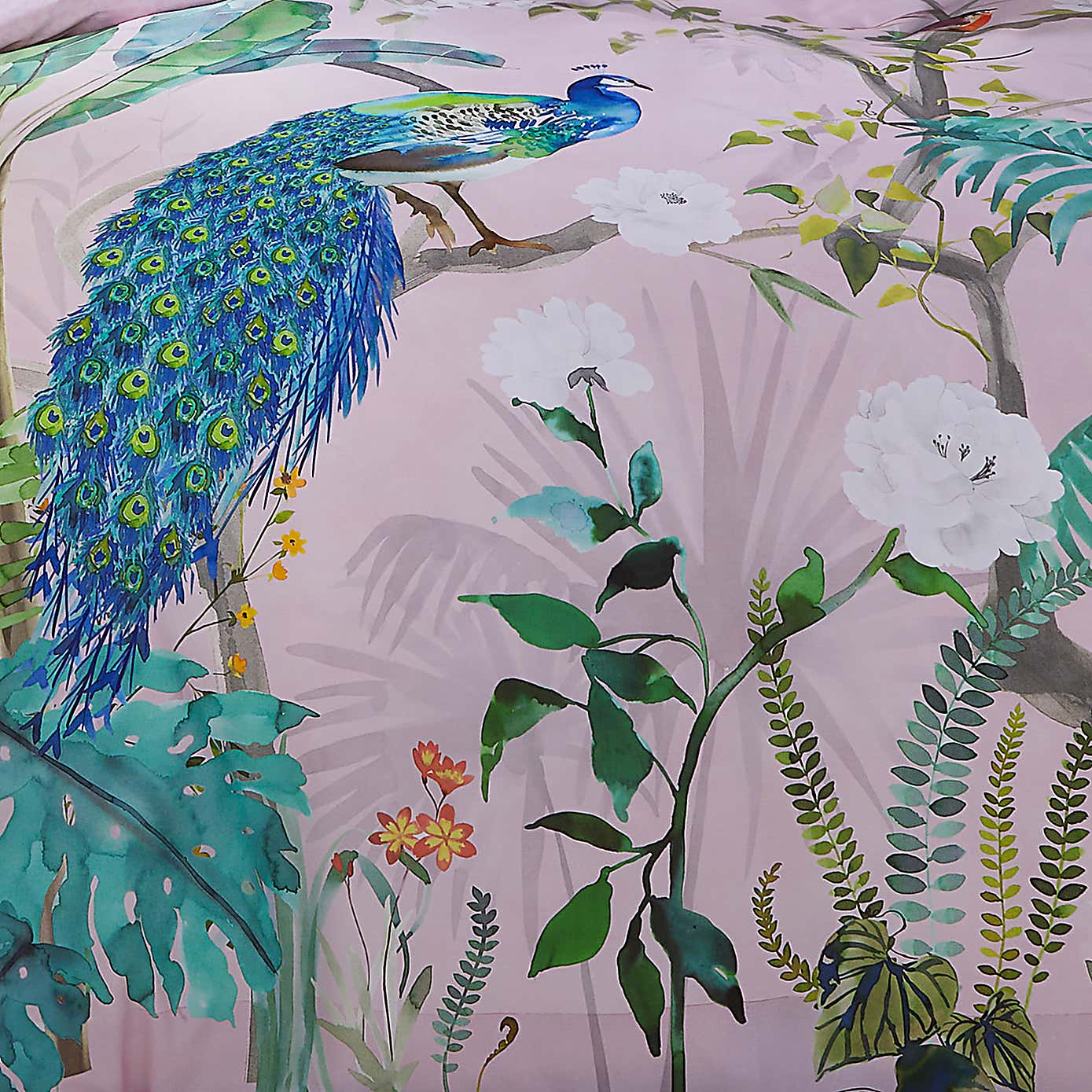 Soiree Peacock Jungle 500 Thread Count Cotton Duvet Cover and Pillowcase Set