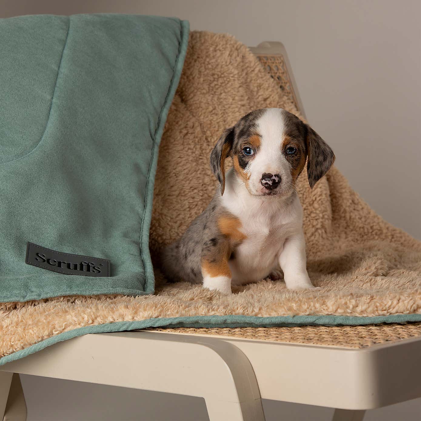 Scruffs Snuggle Blanket