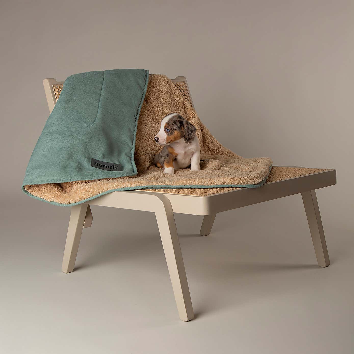 Scruffs Snuggle Blanket