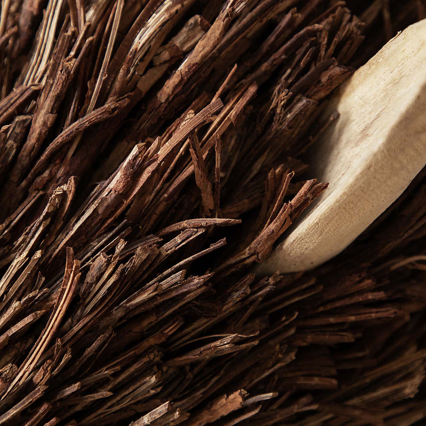 Voyage Maison Stirling Wall Mounted Stag Head Ornament