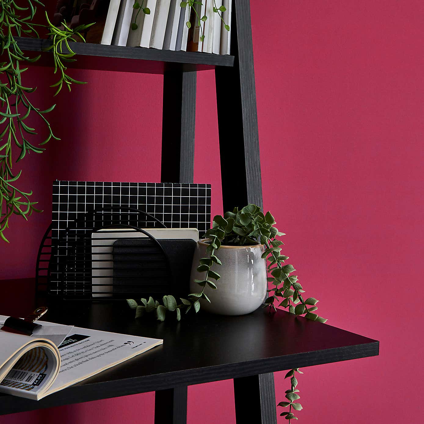Dunelm Fuchsia Matt Emulsion Paint