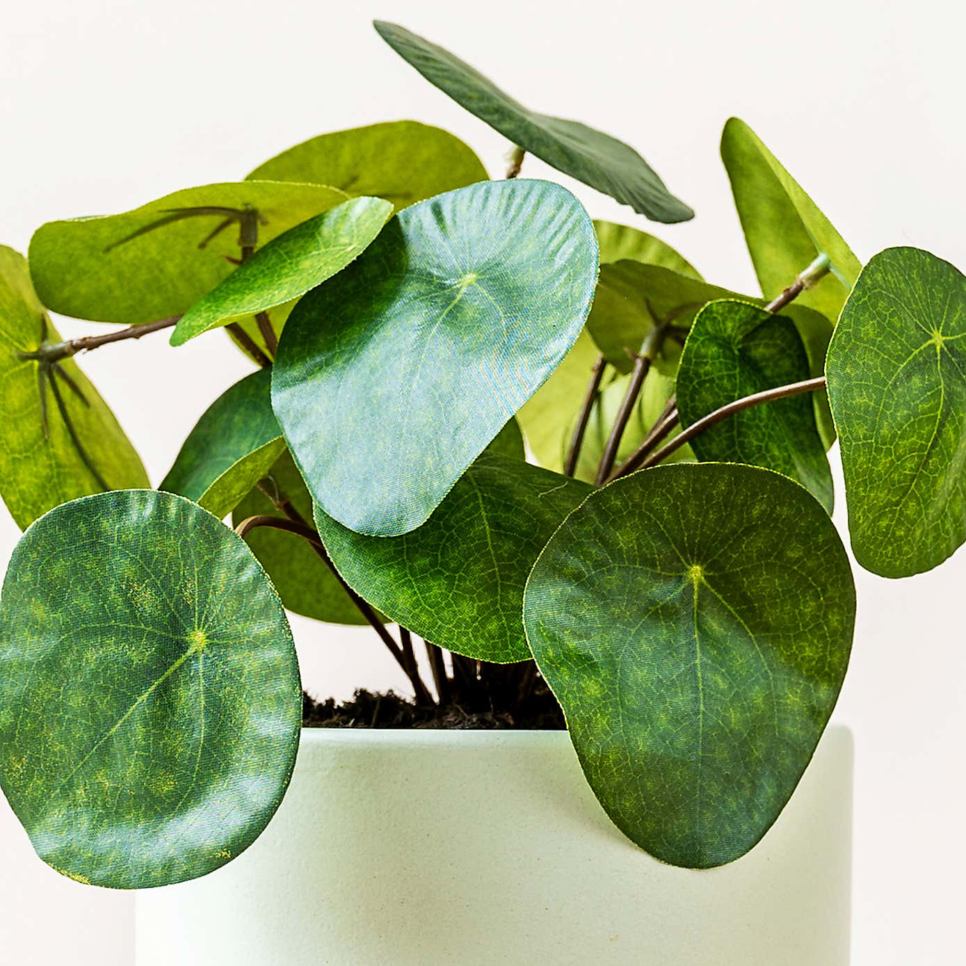 Artificial Money Plant