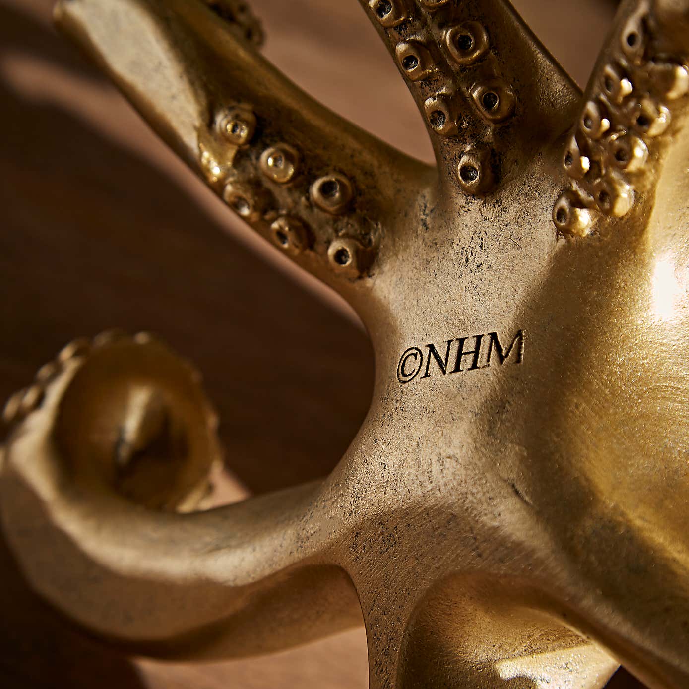 NHM Octopus Glasses Holder