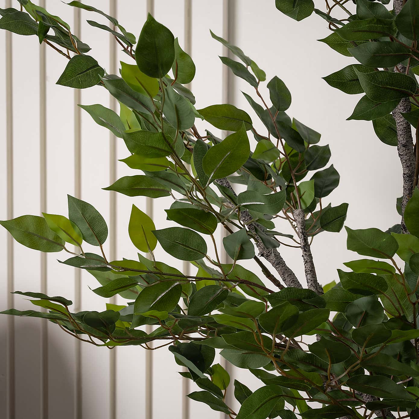 Artificial Mini Ficus Tree in Black Plant Pot