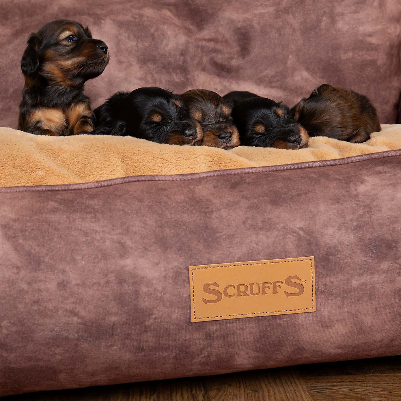 Scruffs Pet Kensington Box Bed