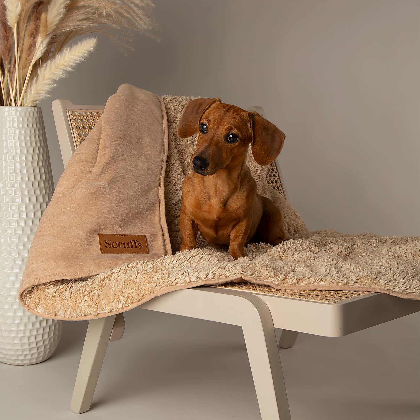 Scruffs Snuggle Blanket