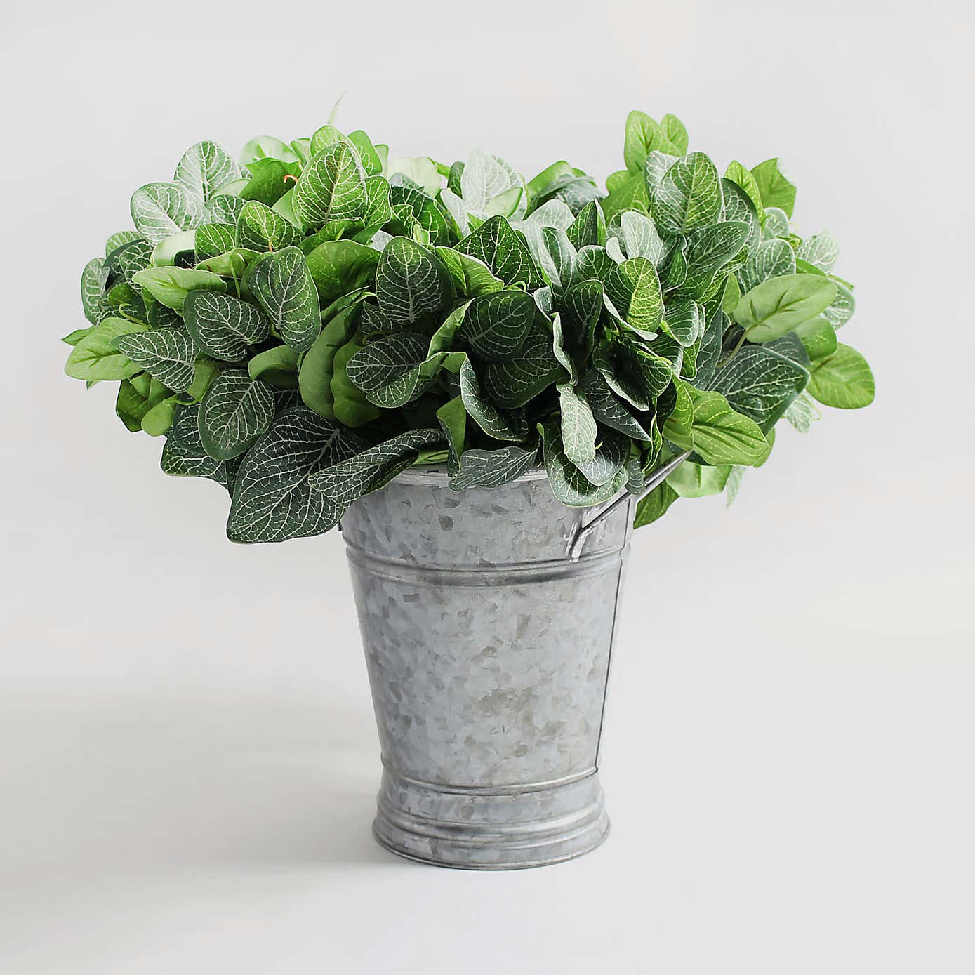 Artificial Green Fittonia Stems