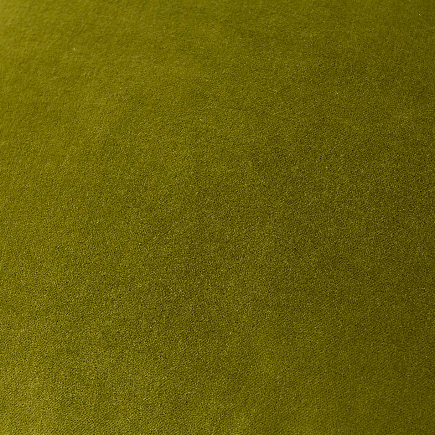 Clara Cotton Velvet Cushion