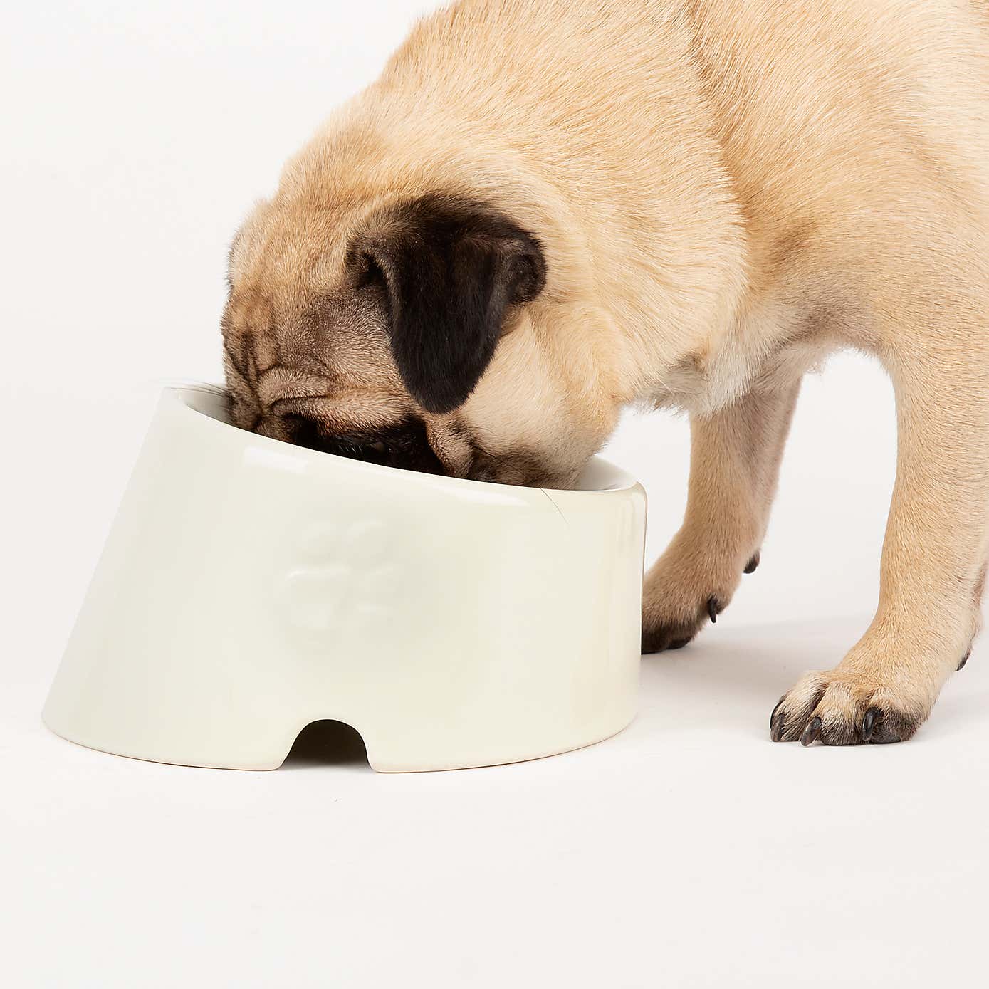 Scruffs Set of 2 Flat Faced Dog Bowls