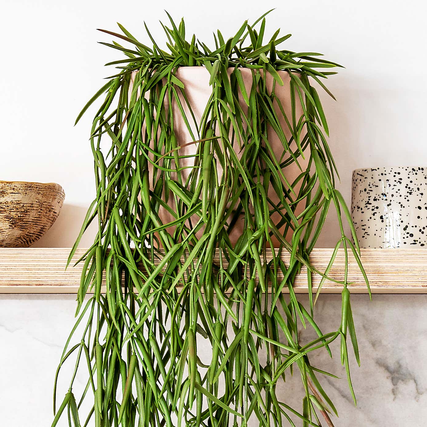 Artificial Hanging Hoya Linearis