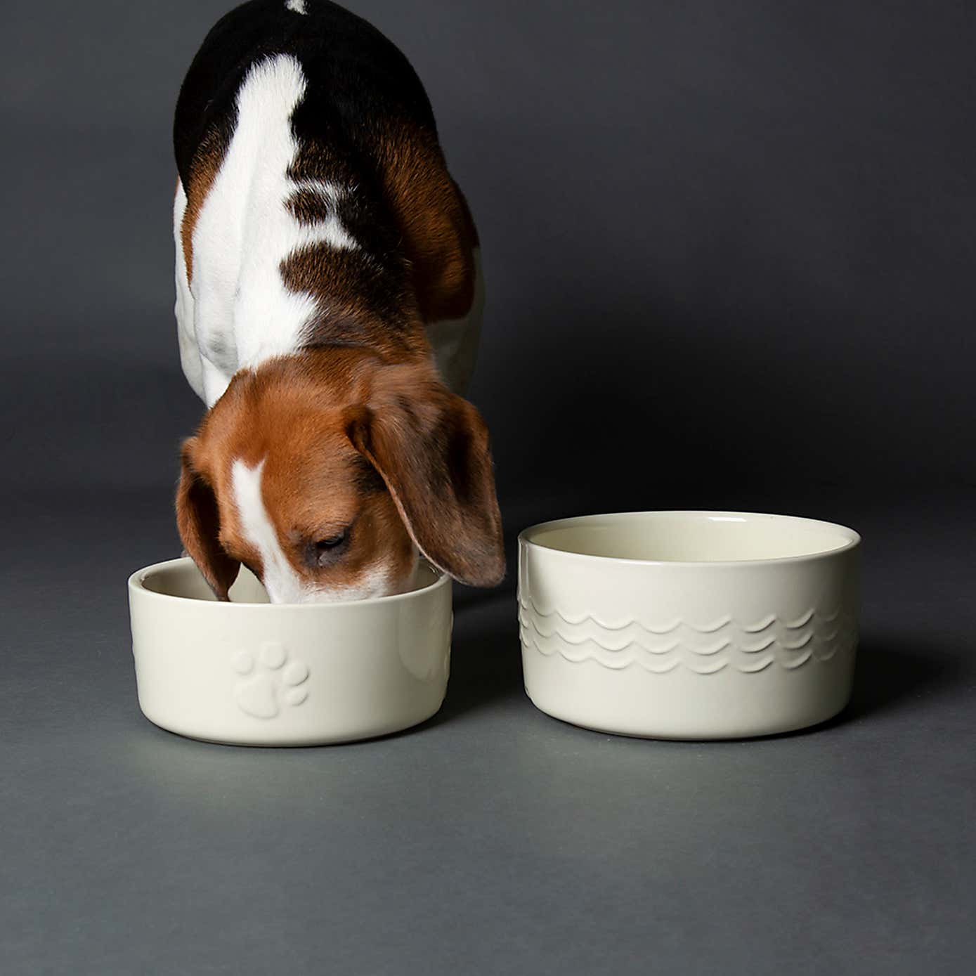 Scruffs Set of 2 Large Icon Dog Bowls