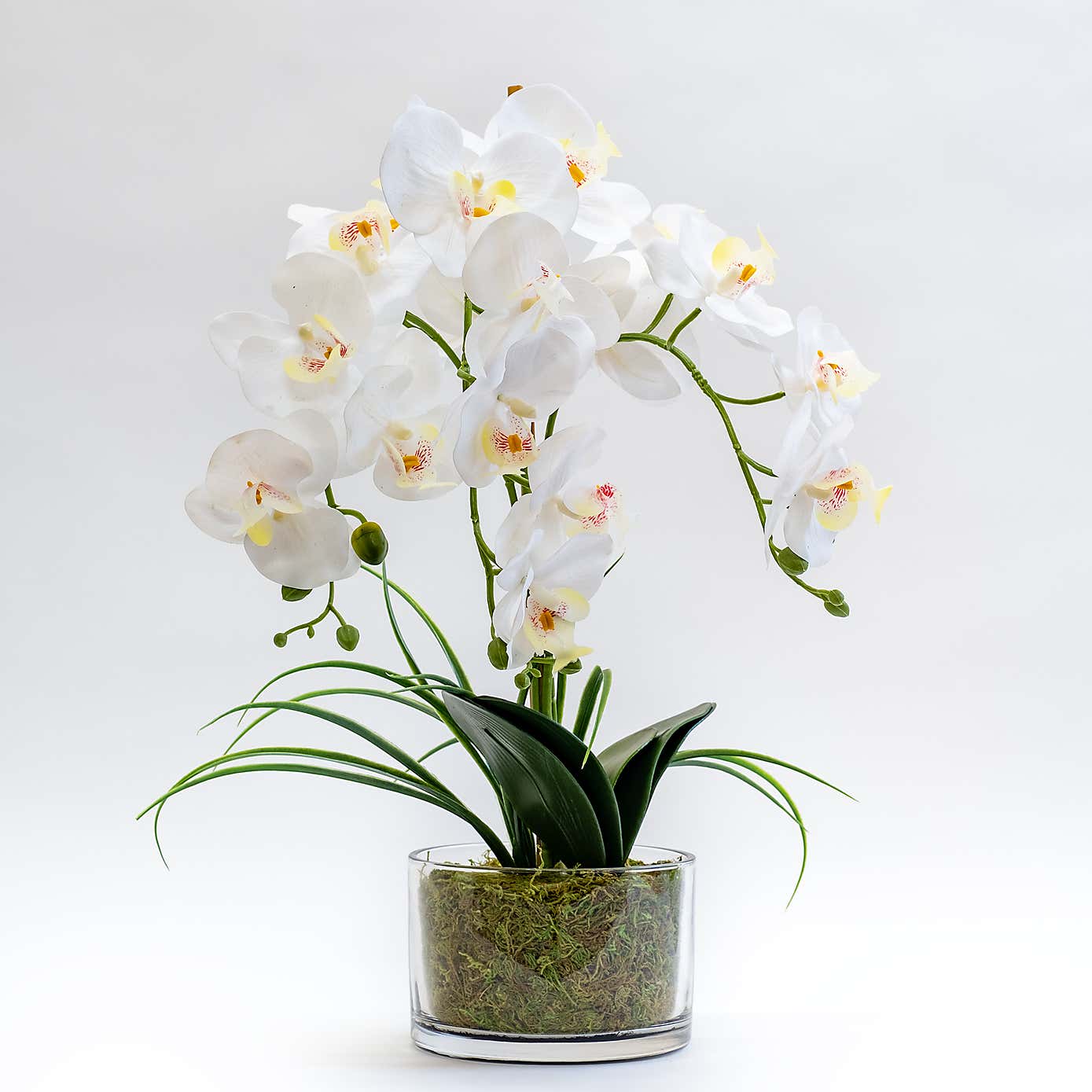 Artificial White Orchid in Glass Plant Pot