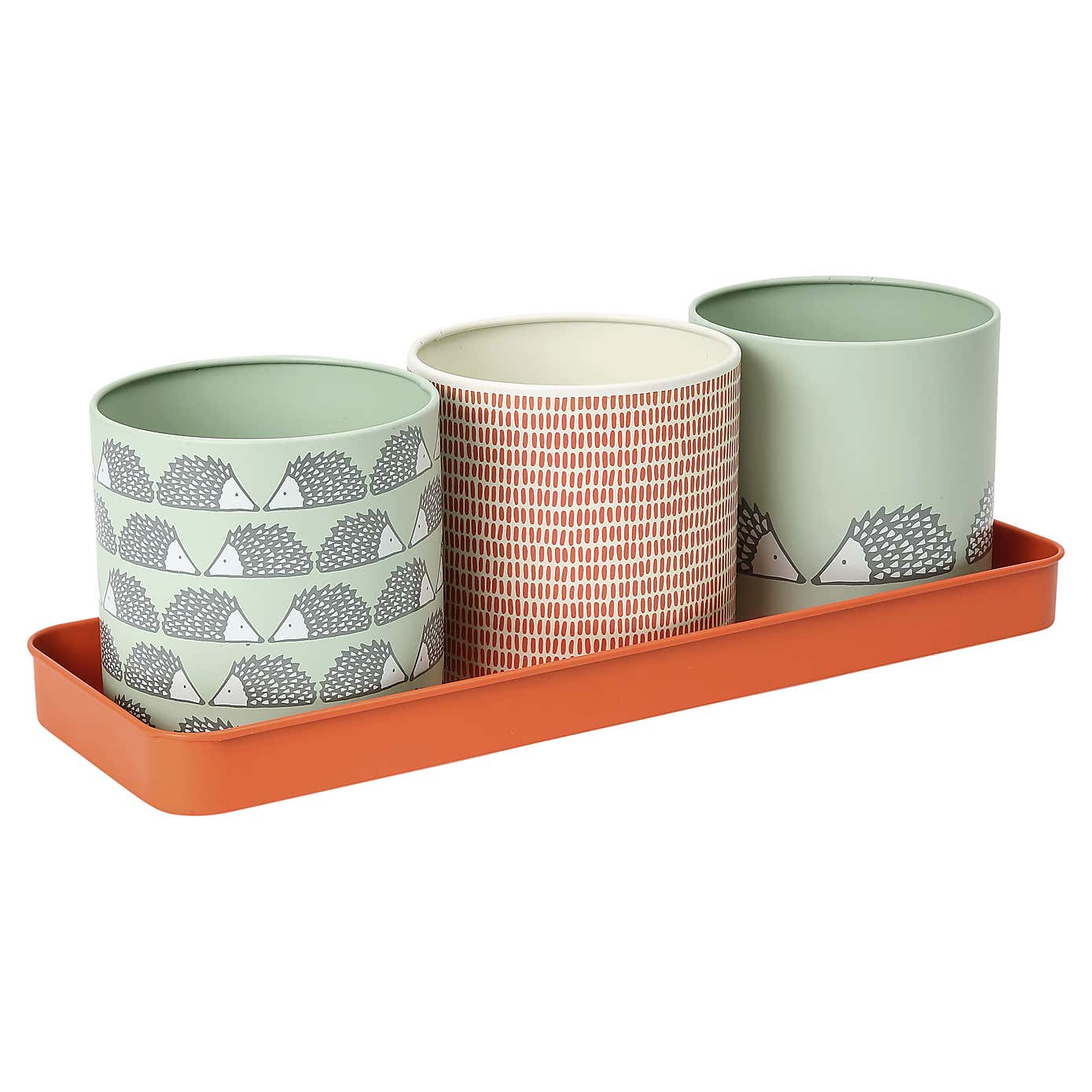 Scion Dexam Spike Hedgehog Set of 3 Sage Herb Pots