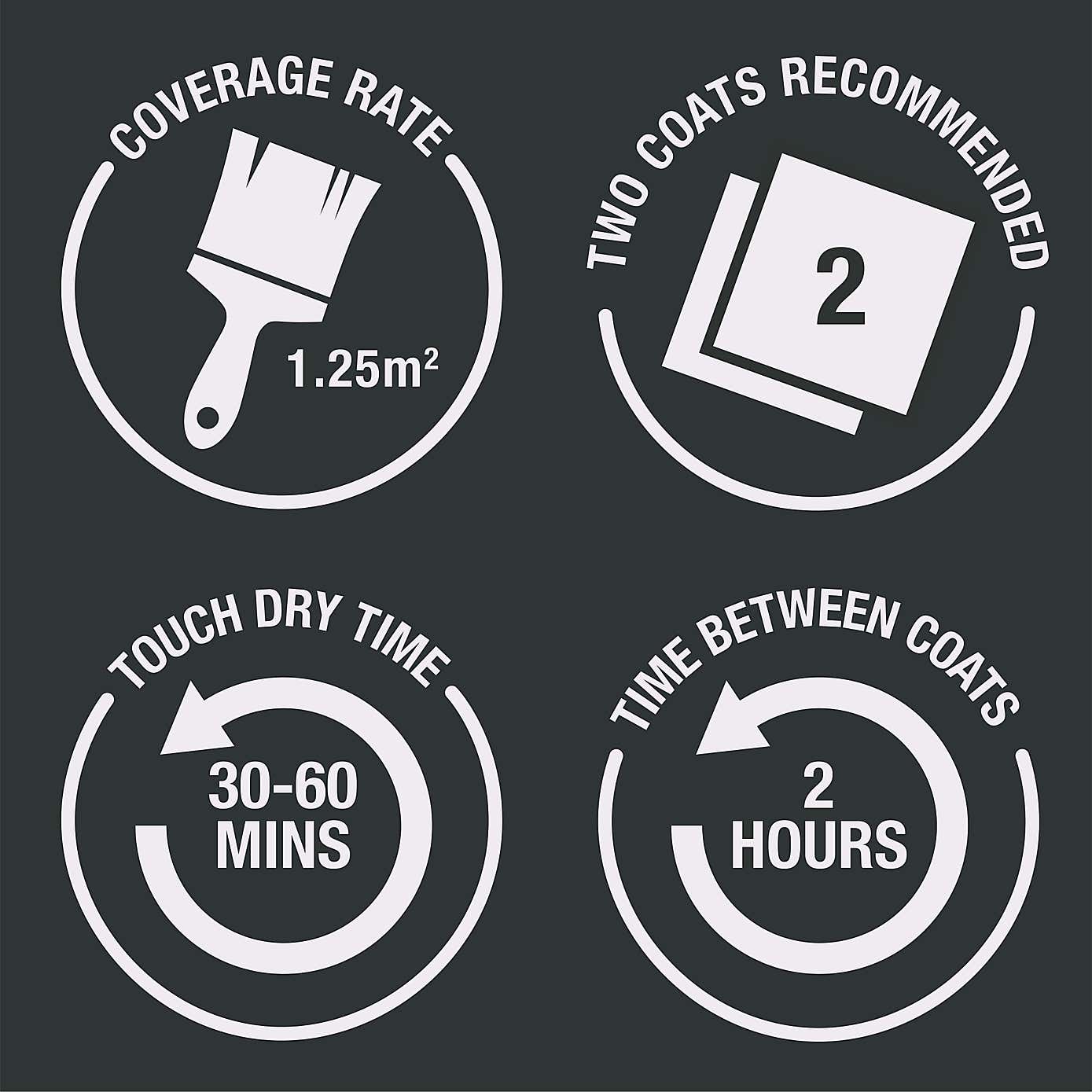 Rust-Oleum Black Satin Painter's Touch Toy Safe Paint 250ml