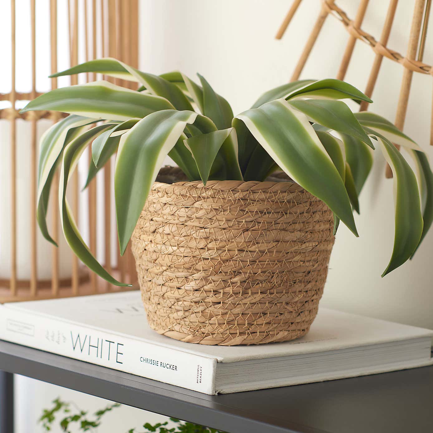 Woven Plant Pot Natural Medium